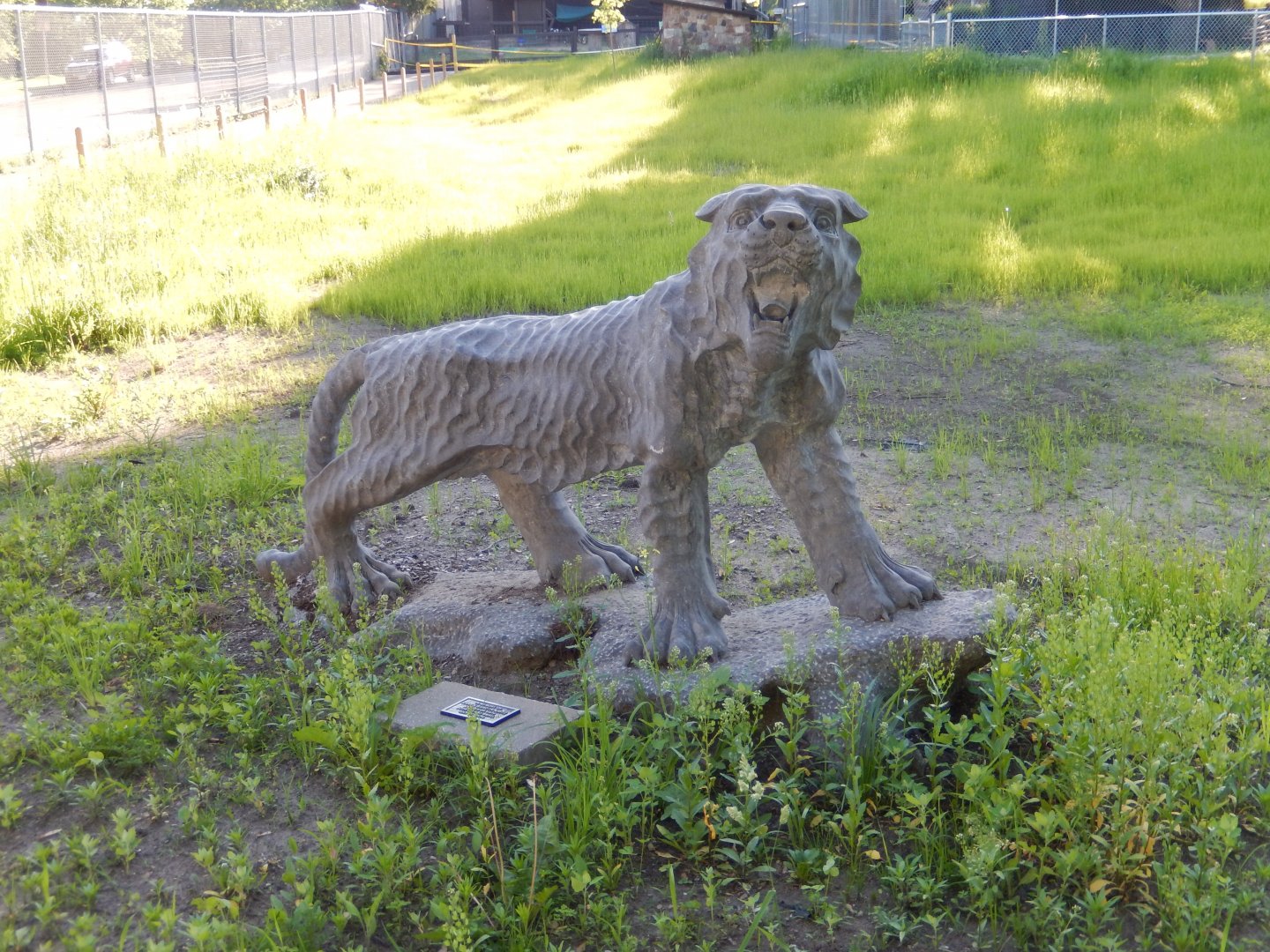 6/5/2020 - Tiger Statue