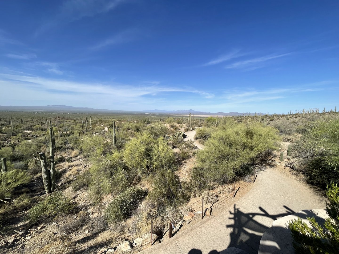 6/5/2024 - Desert Loop Trail overlook