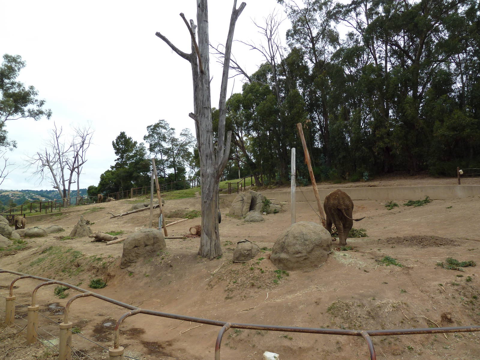 6-Acre African Elephant Exhibit