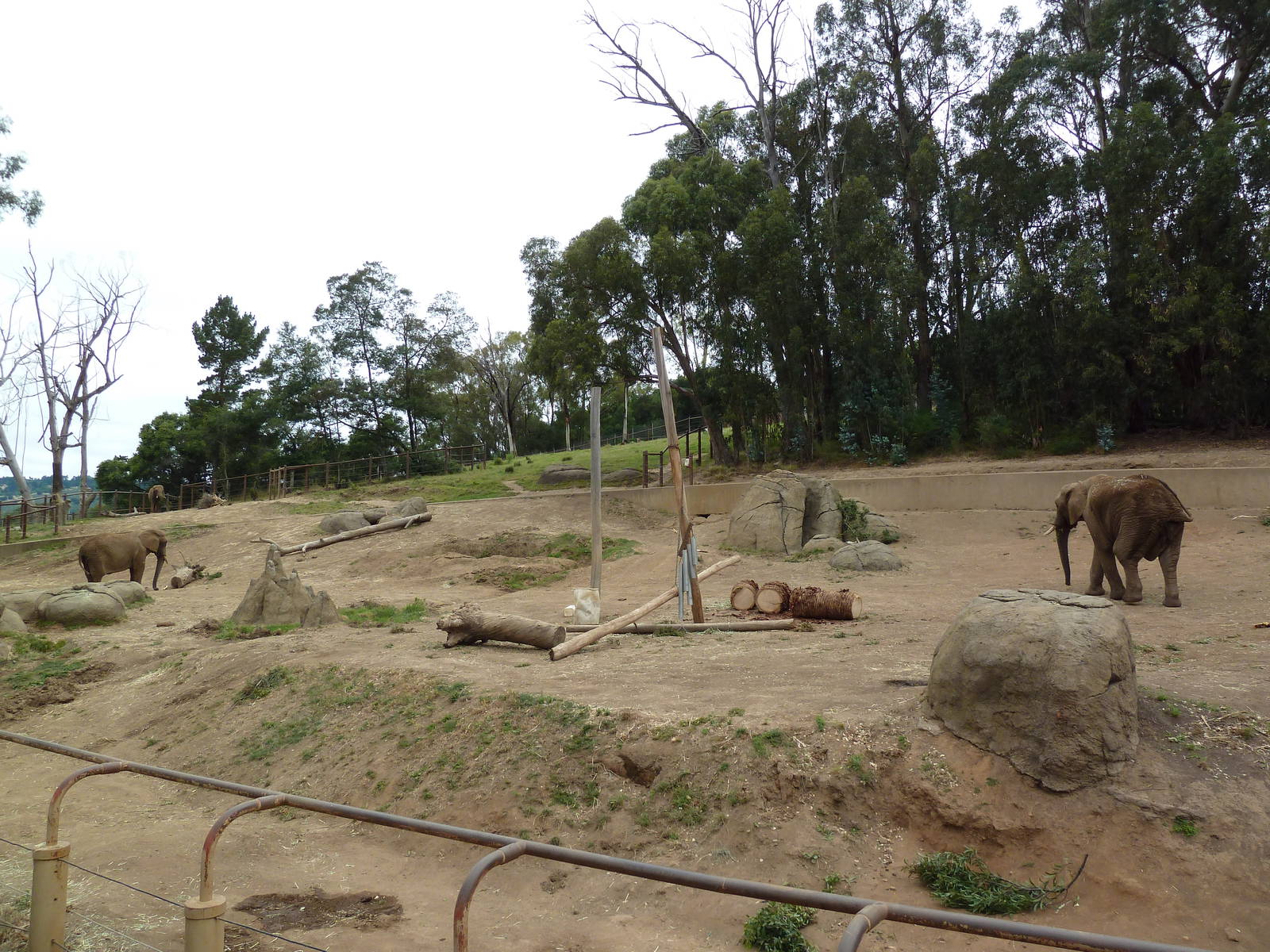 6-Acre African Elephant Exhibit
