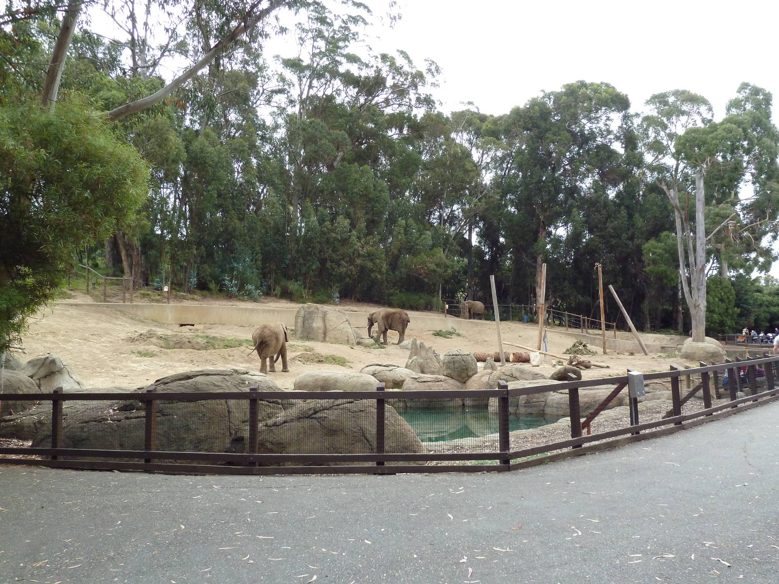 6-Acre African Elephant Exhibit