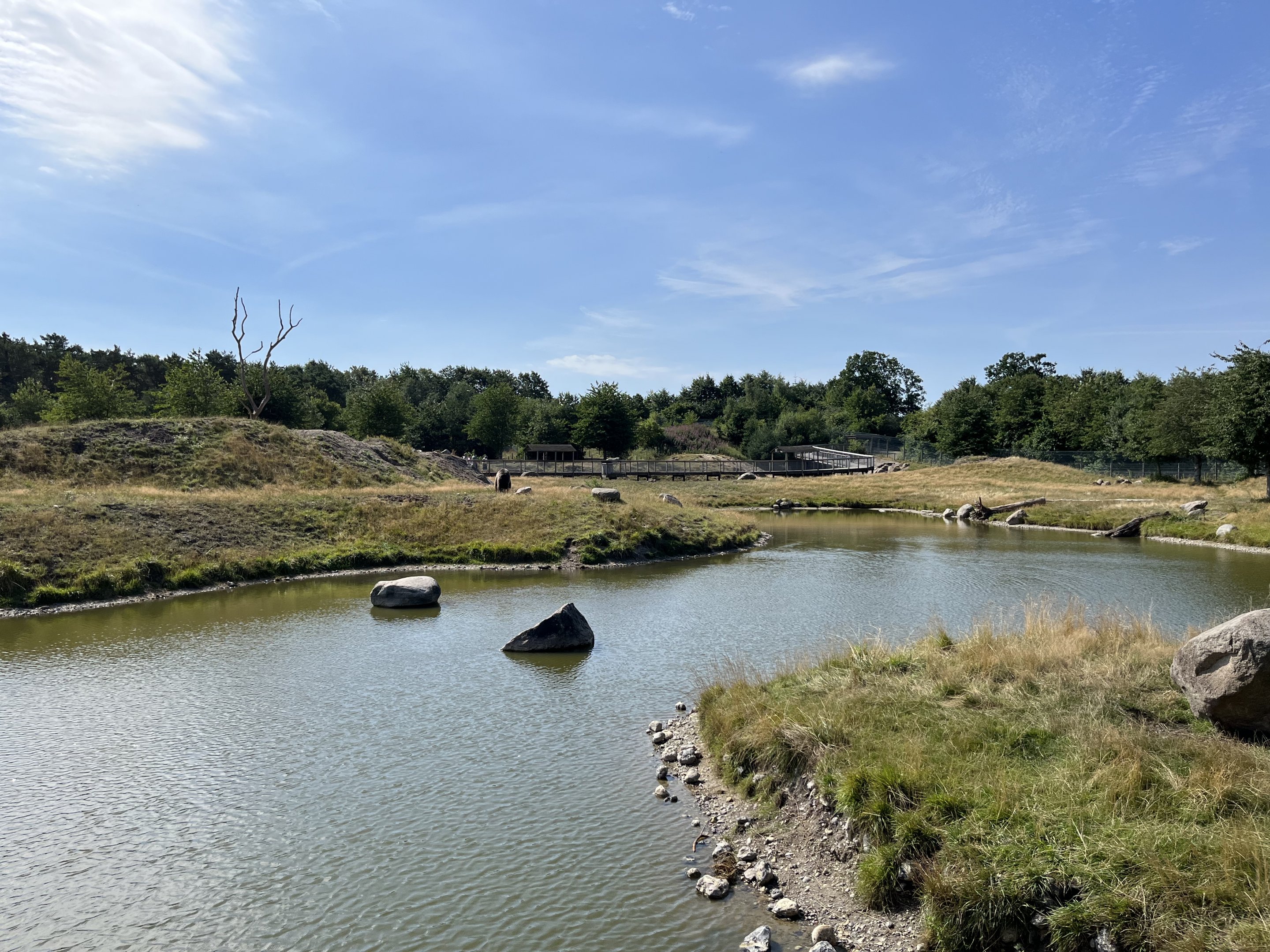 6 Acre Brown Bear Exhibit