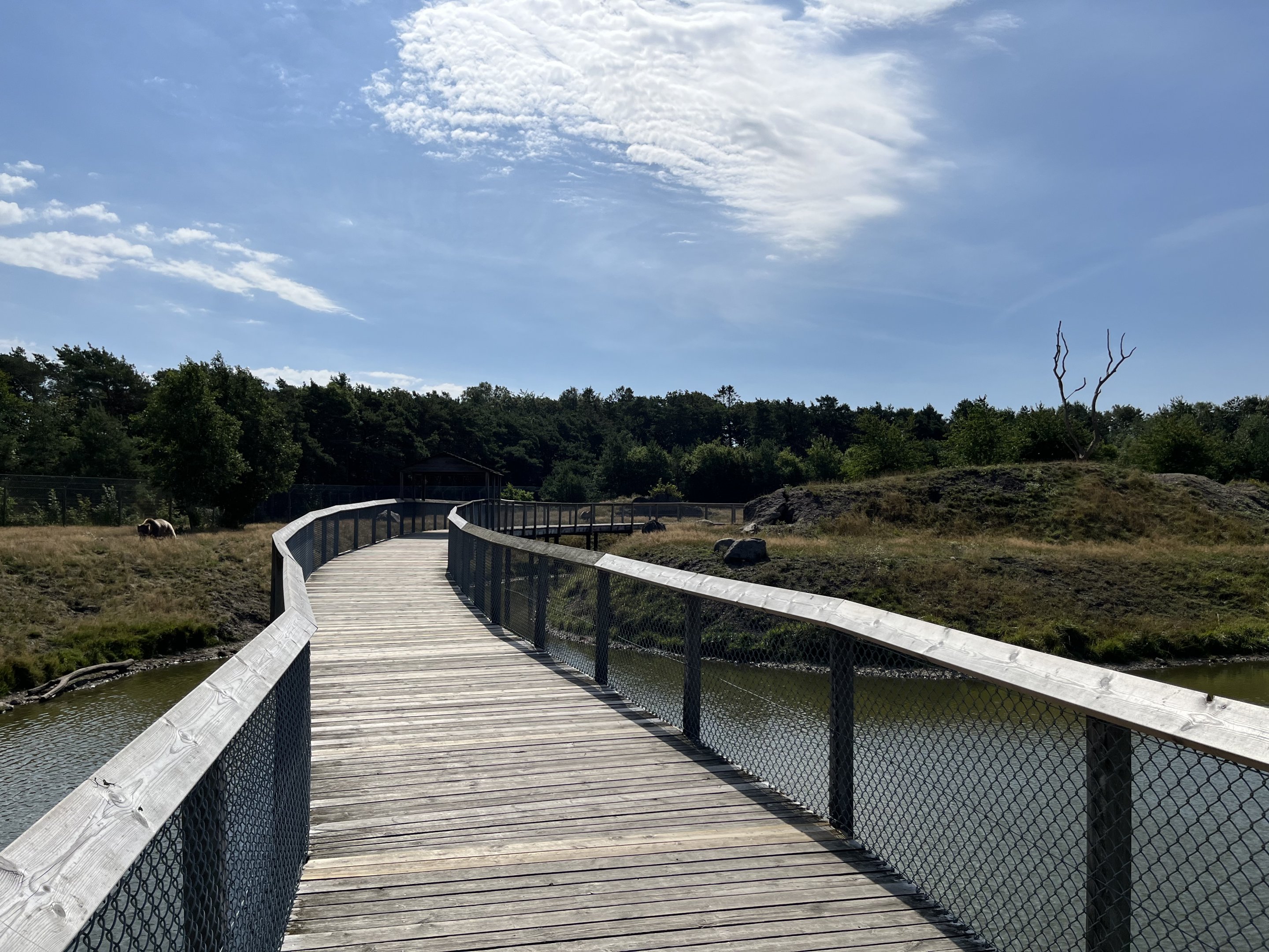6 Acre Brown Bear Exhibit