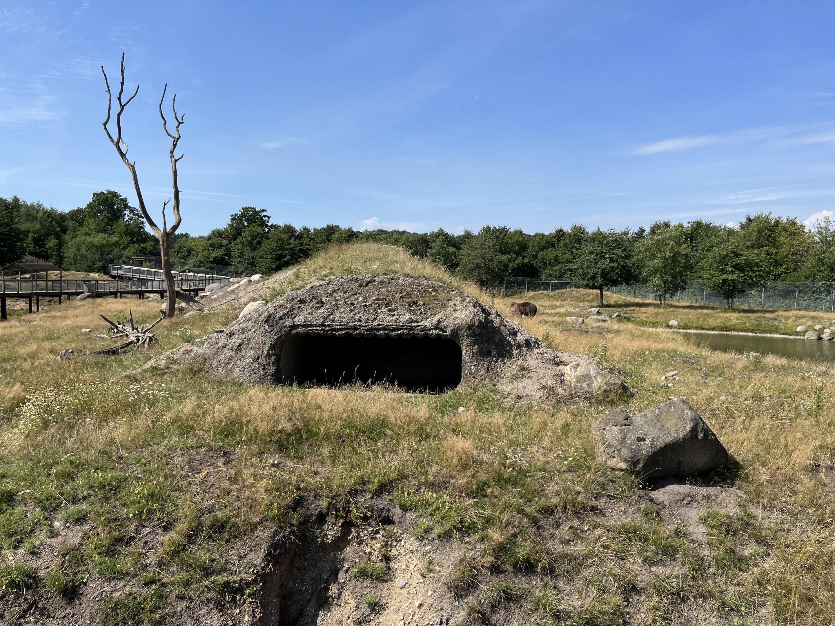 6 Acre Brown Bear Exhibit