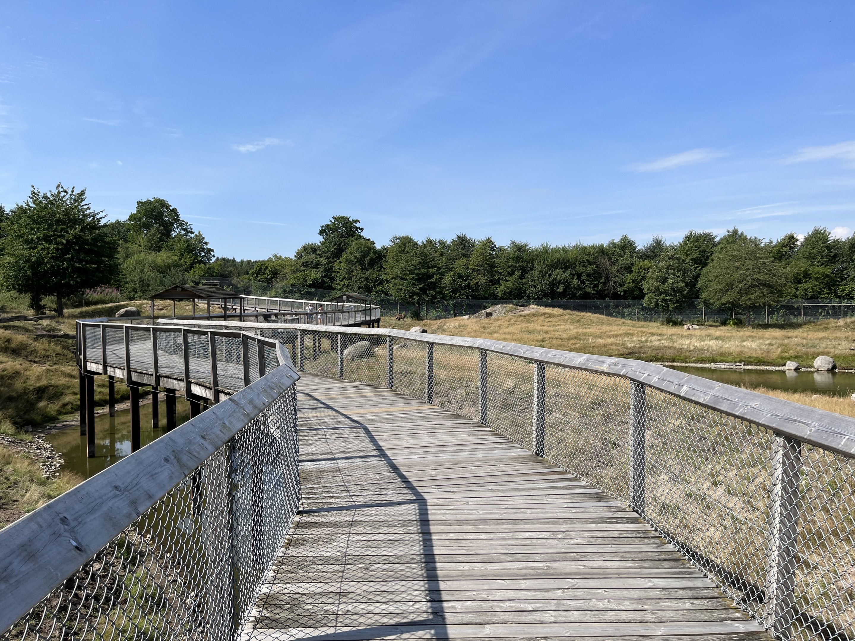 6 Acre Brown Bear Exhibit