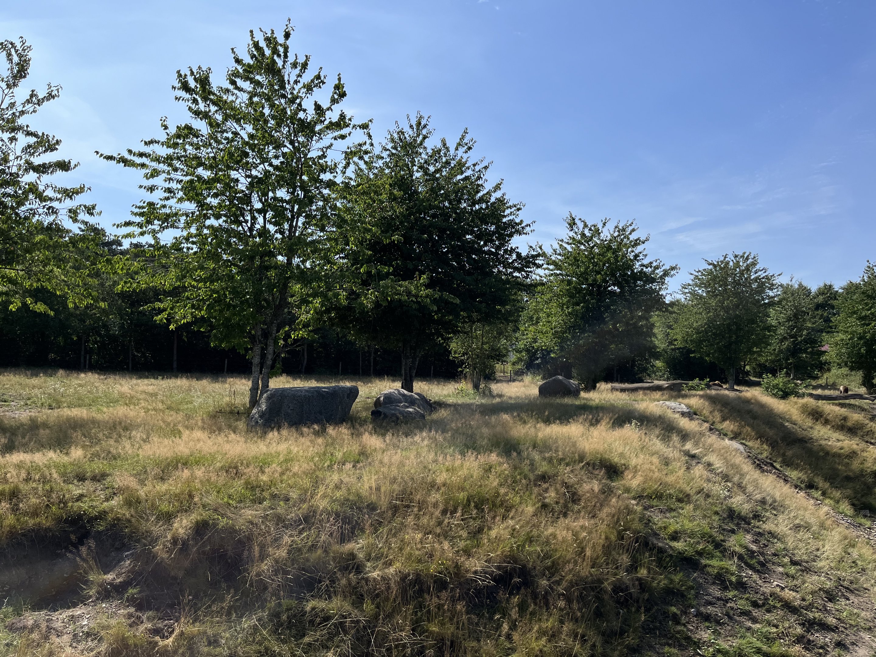 6 Acre Brown Bear Exhibit