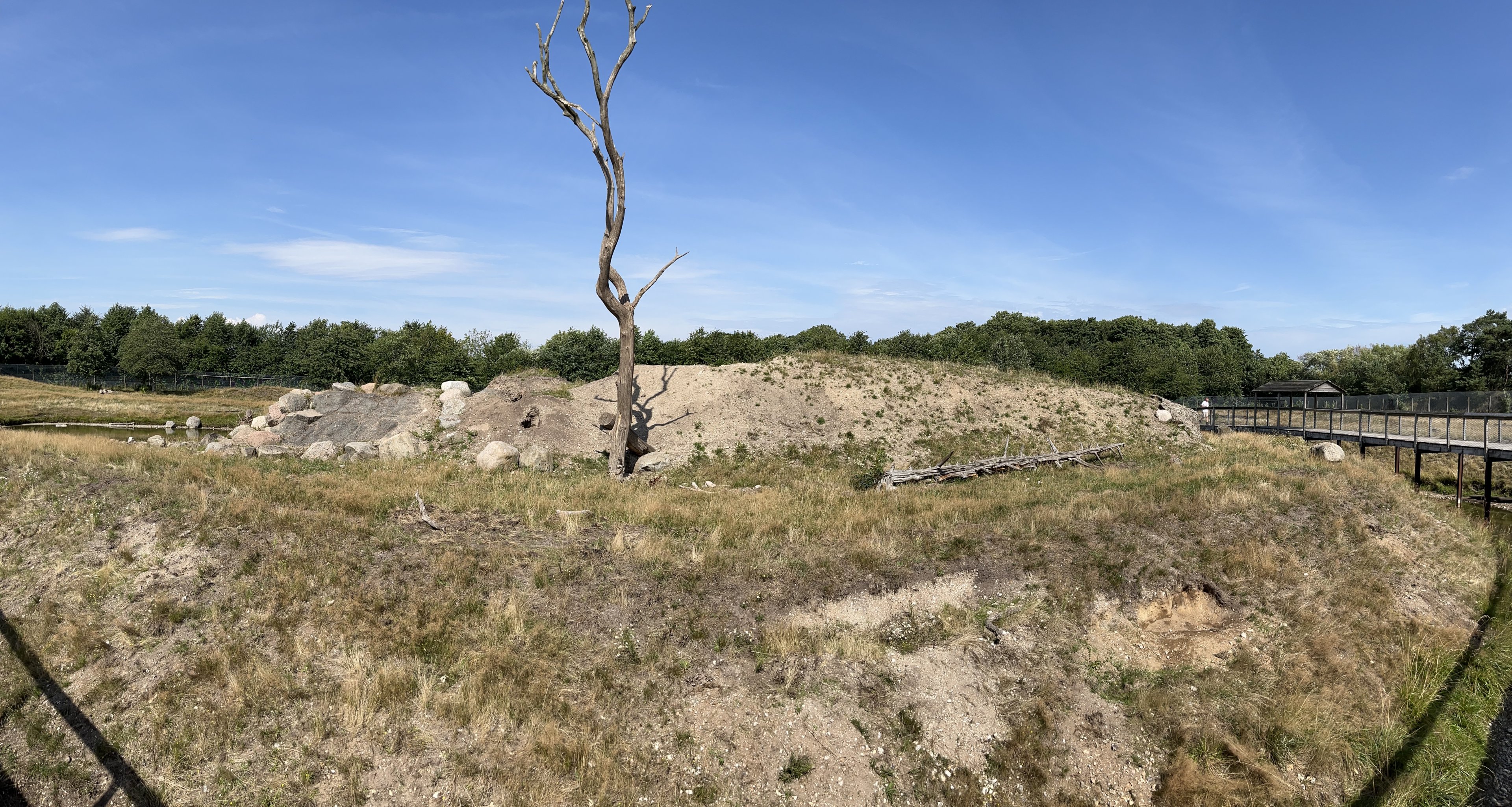 6 Acre Brown Bear Exhibit