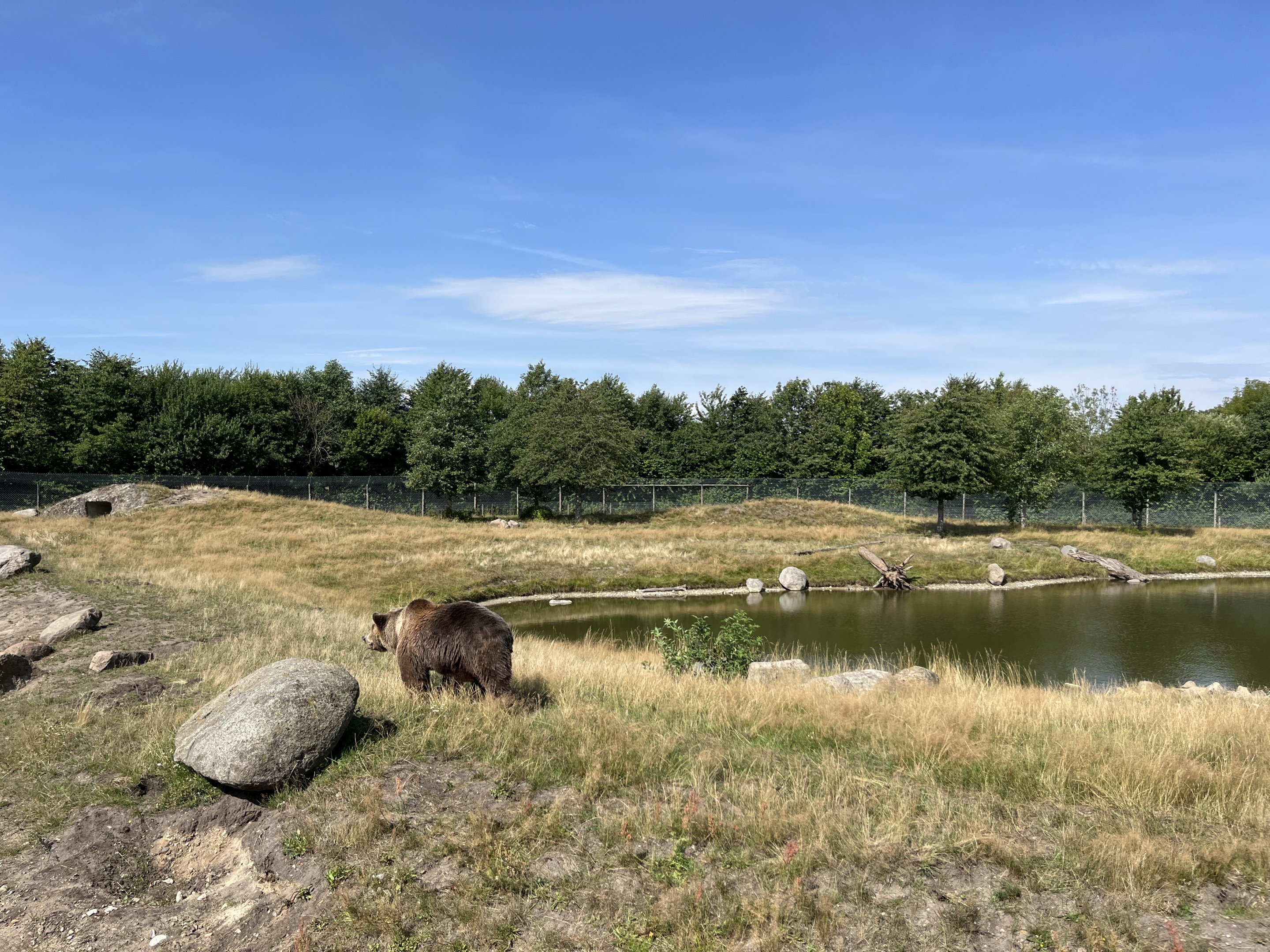 6 Acre Brown Bear Exhibit