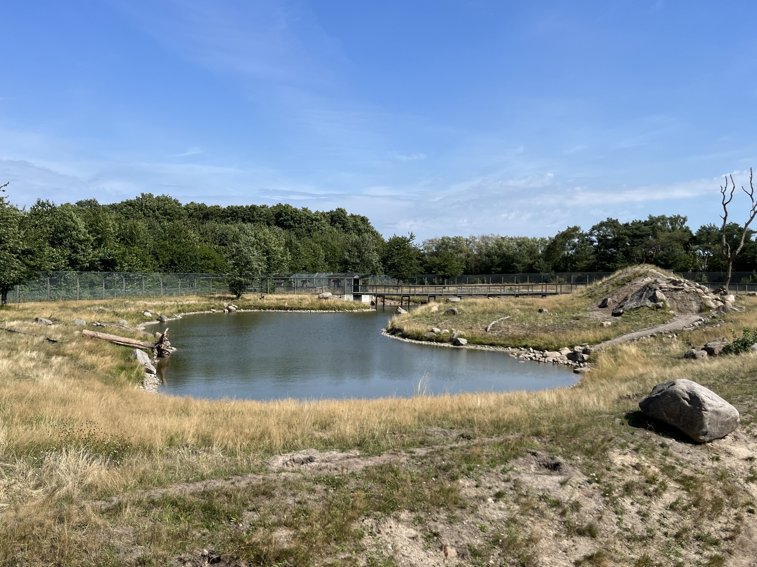 6 Acre Brown Bear Exhibit