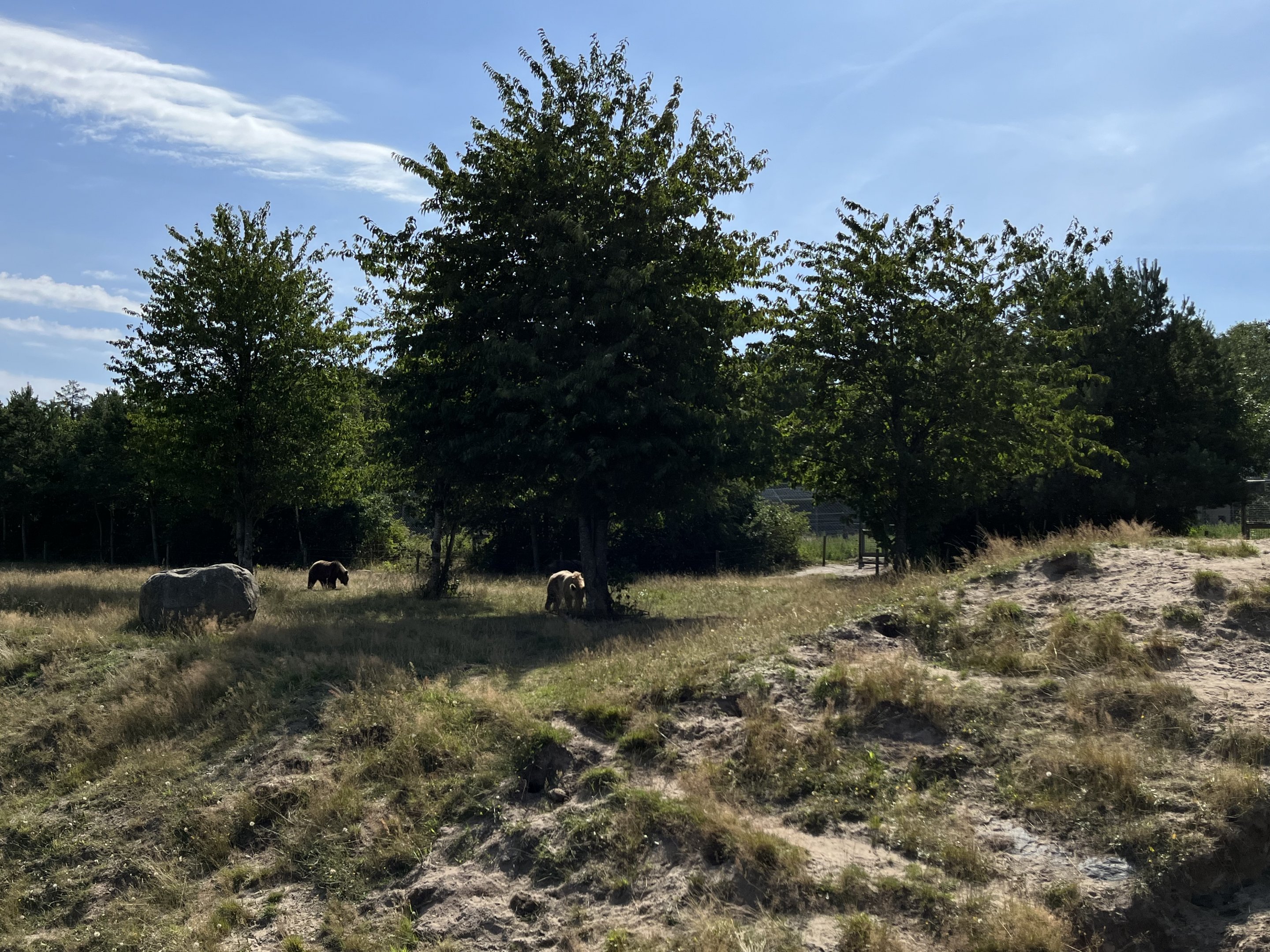 6 Acre Brown Bear Exhibit