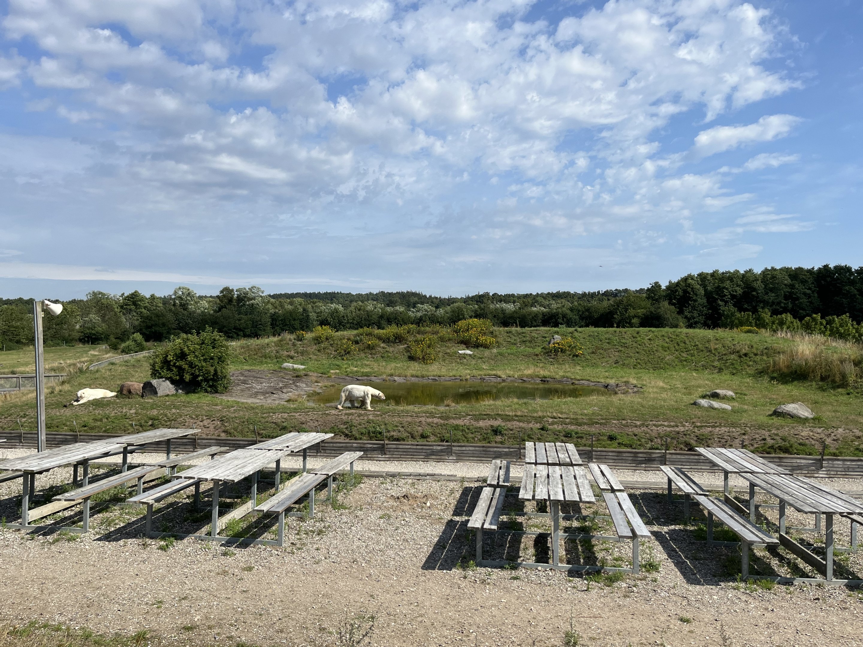 6 Acre Polar Bear Exhibit