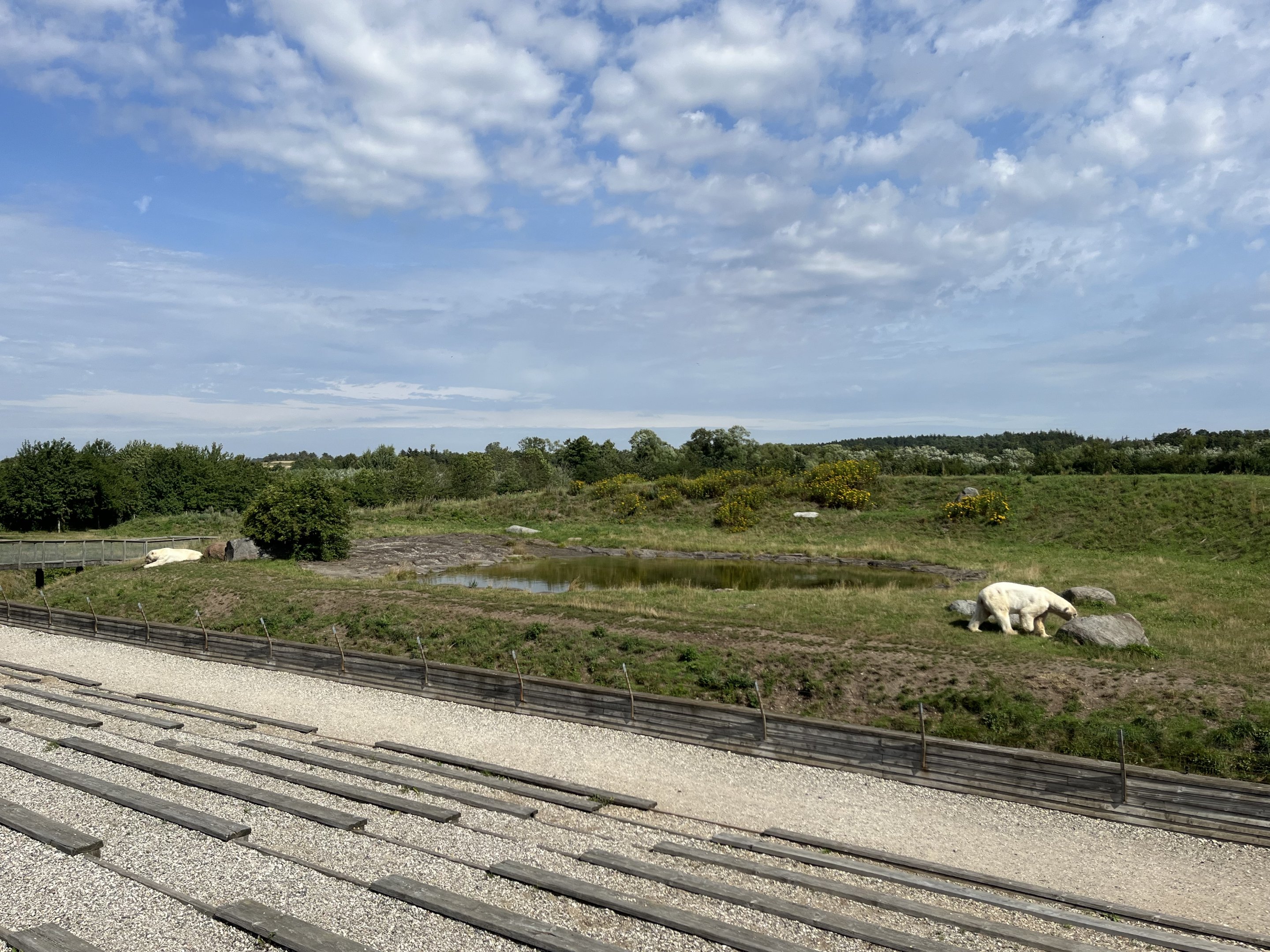 6 Acre Polar Bear Exhibit