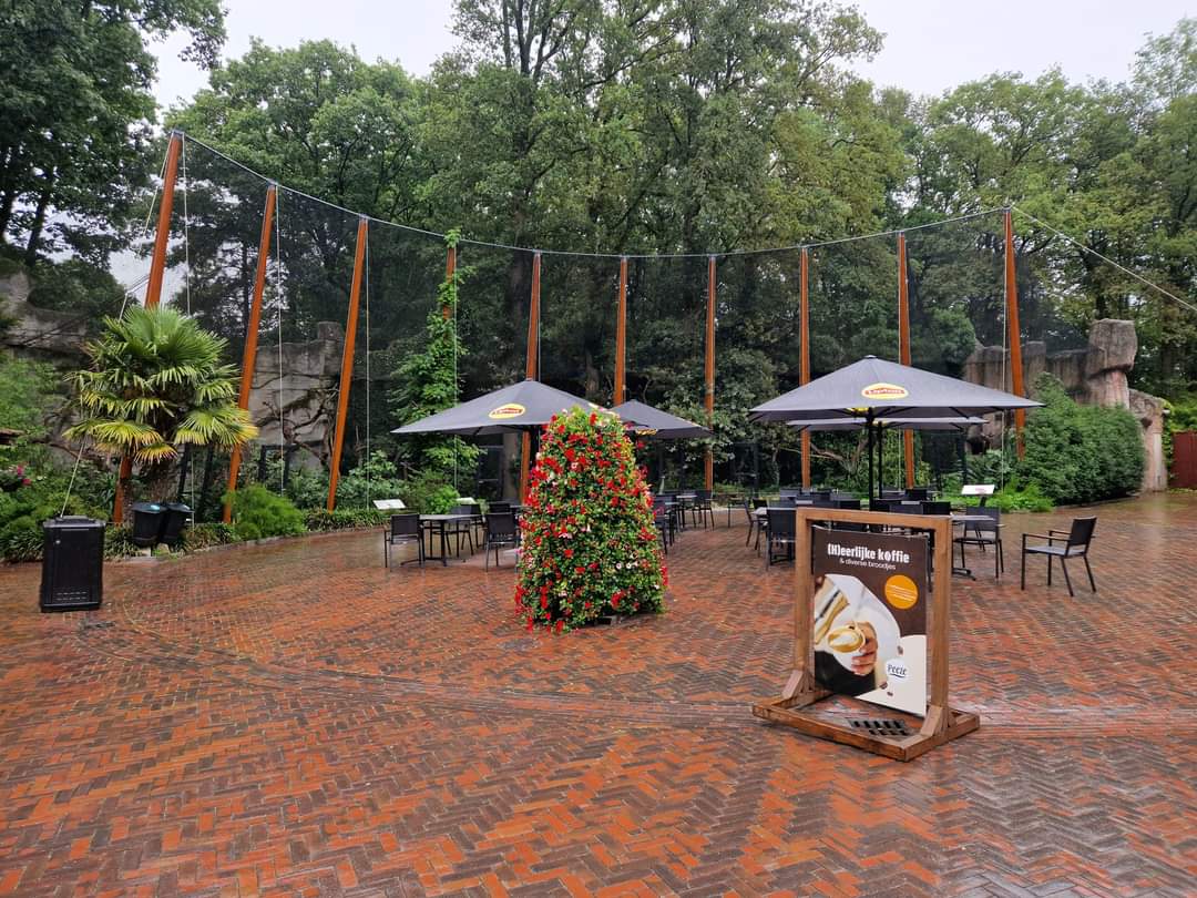 6 different Hornbill exhibits