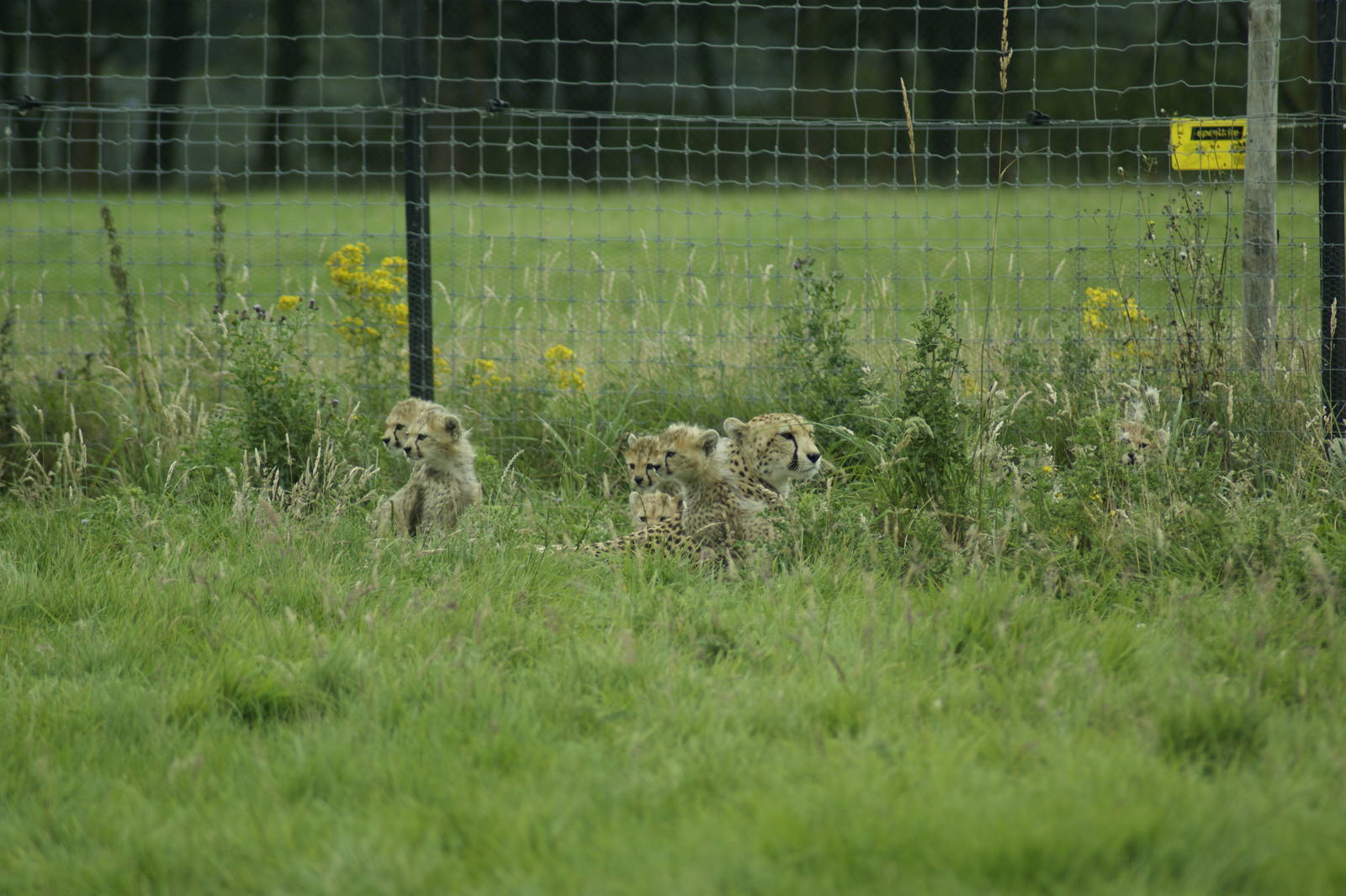 6 out of 7 ain't bad!