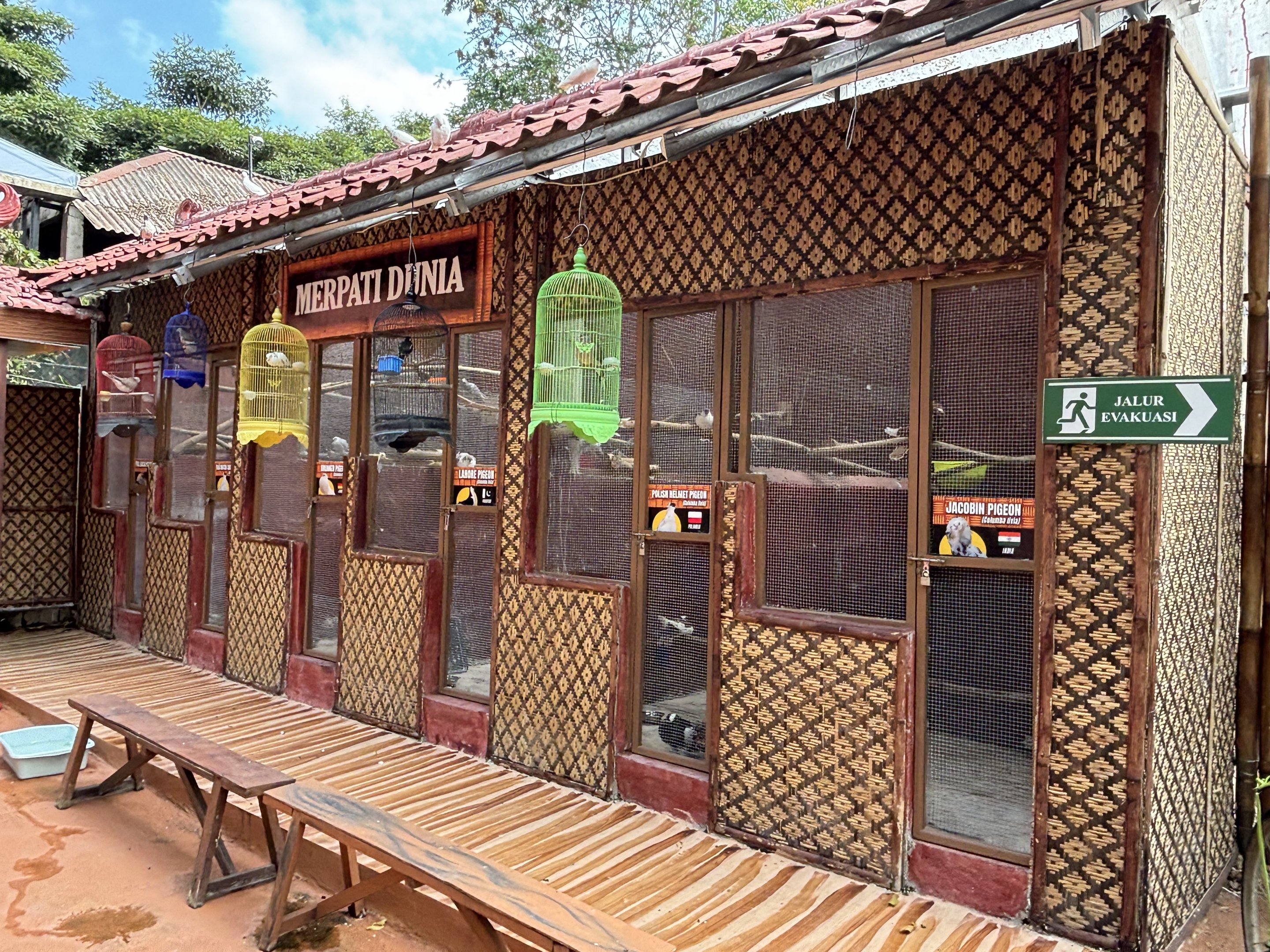 6 Pigeon Aviaries + Small Cages