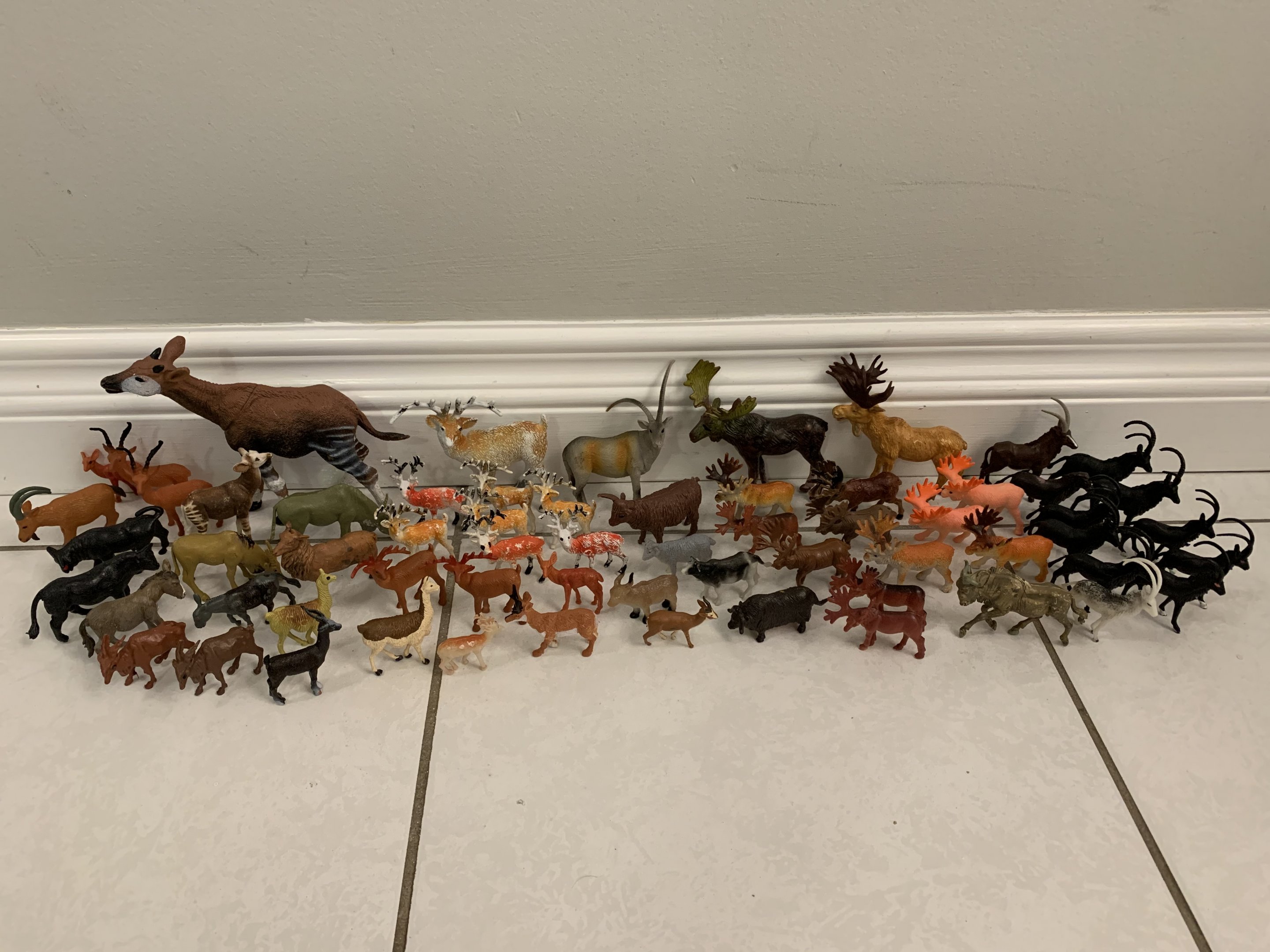 63 Assorted Hoofstock