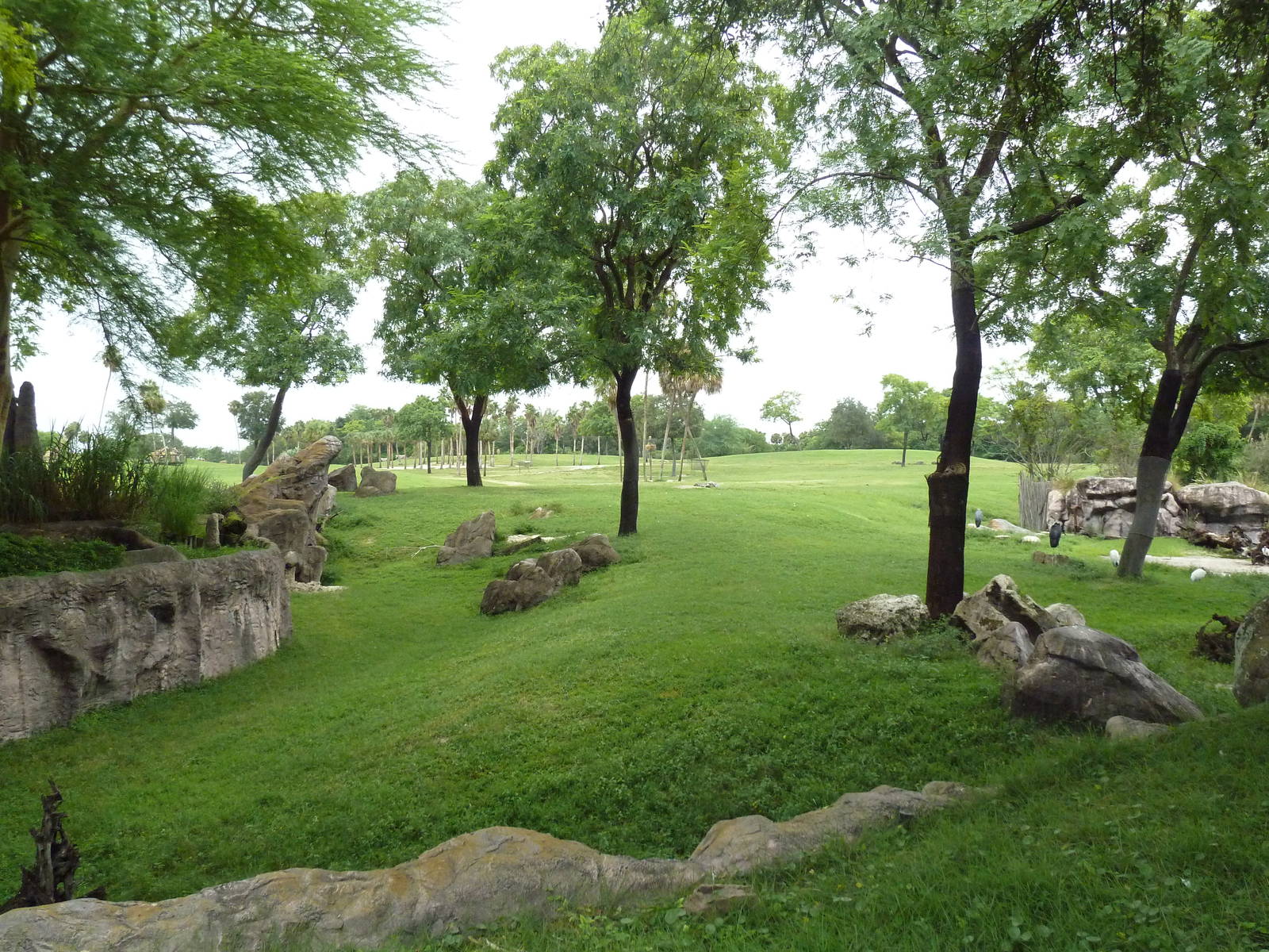 65-Acre Serengeti Plain