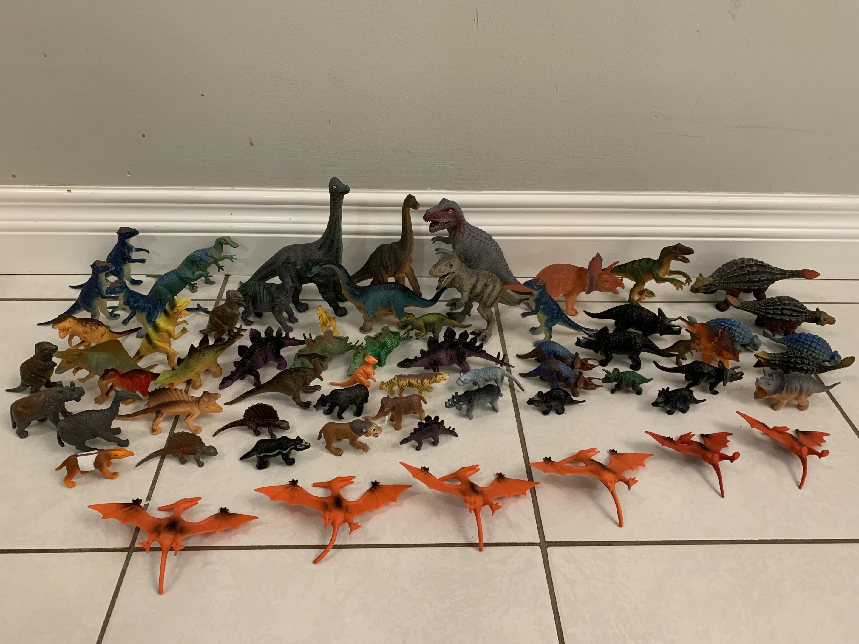 65 Dinosaurs