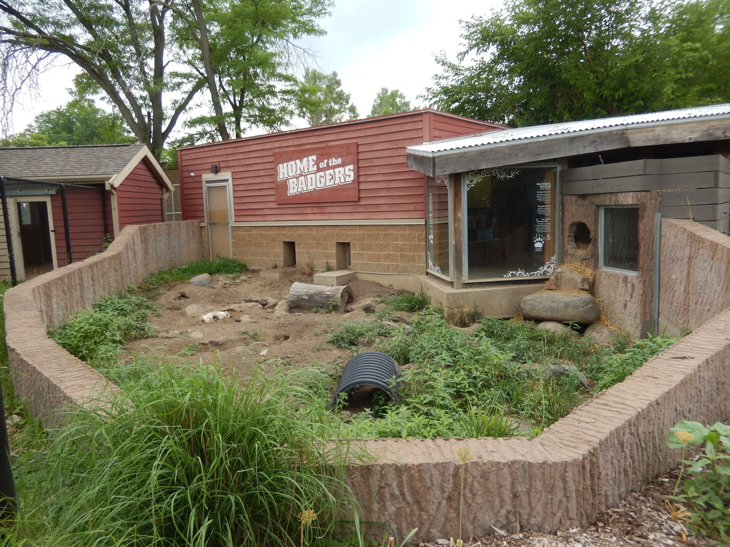 7/1/2023 - American Badger Habitat