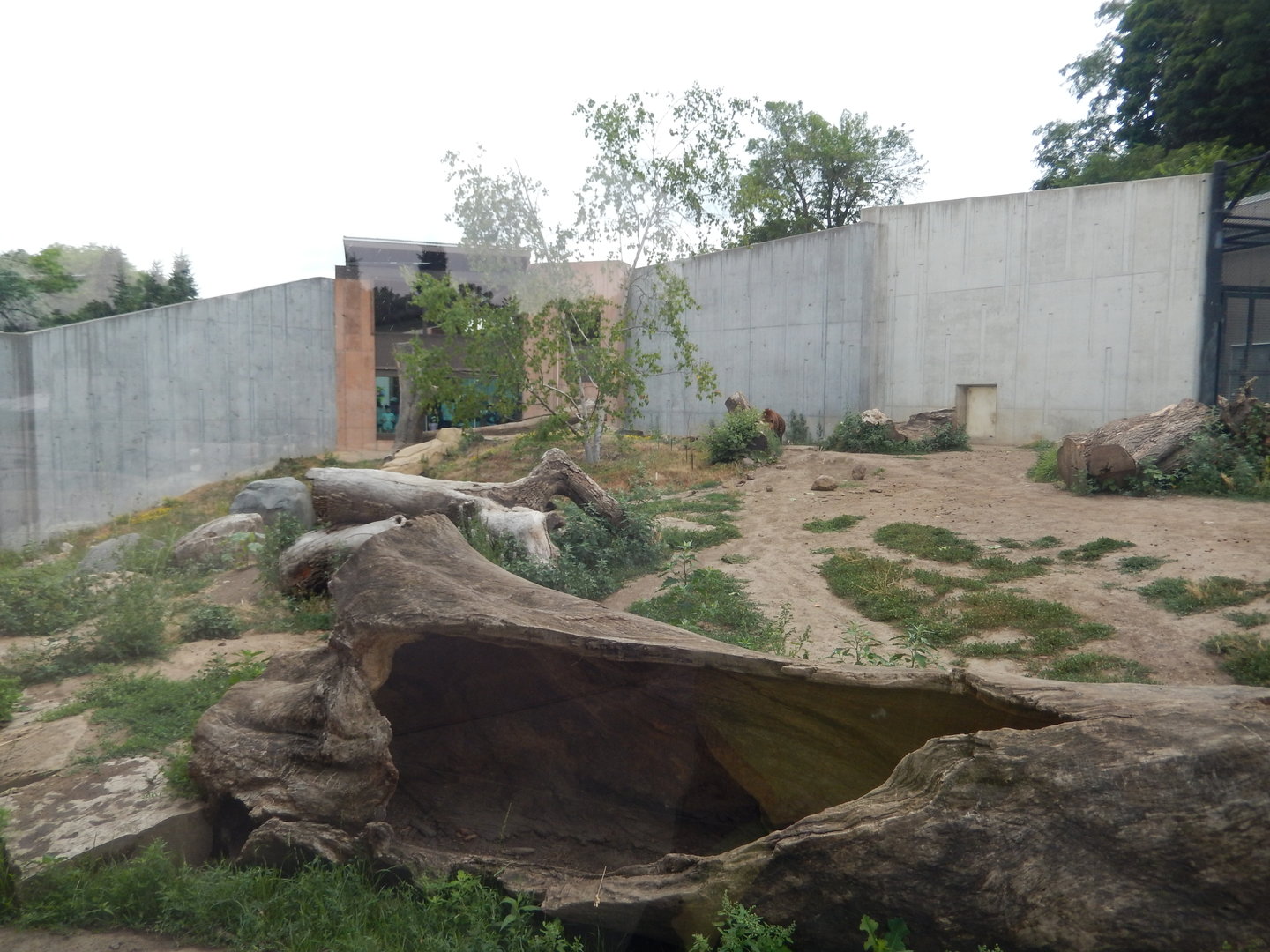 7/1/2023 - Grizzly Bear Habitat