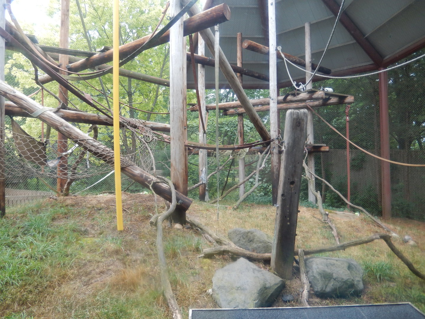 7/1/2023 - Lemur Habitat