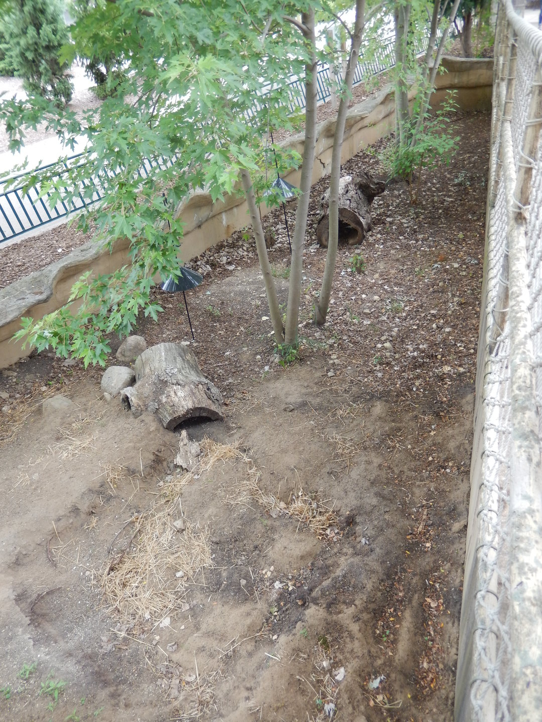 7/1/2023 - Old (Possibly Still Used?) Badger Exhibit