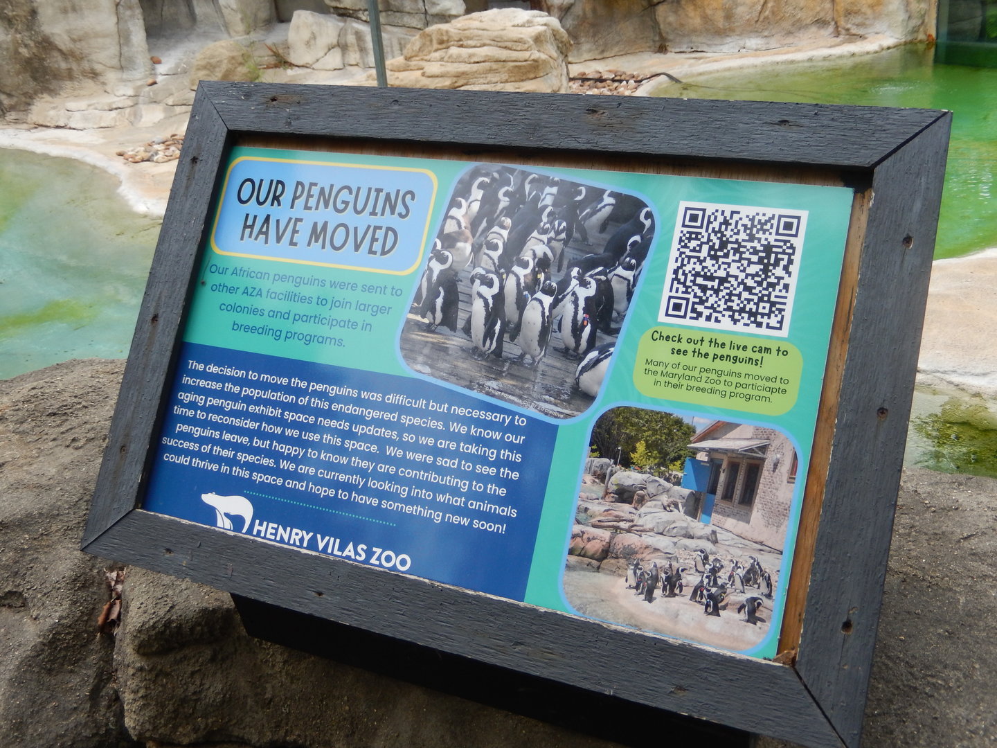 7/1/2023 - Penguin Departure Sign