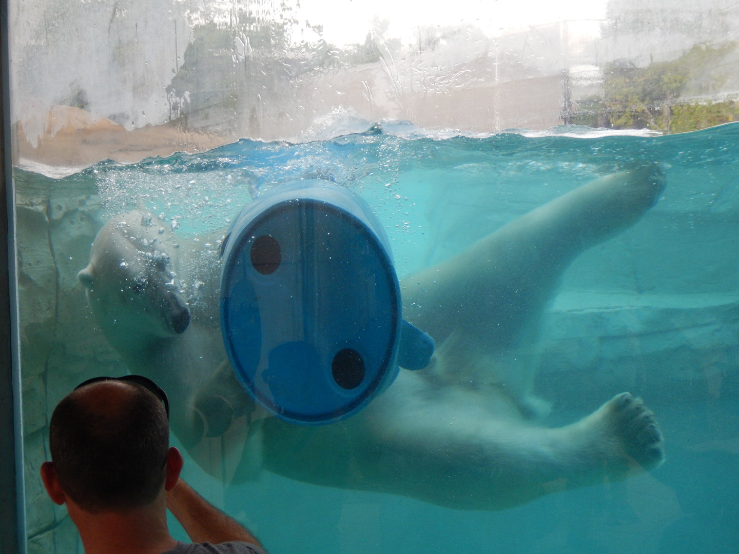 7/1/2023 - Pool Toy!