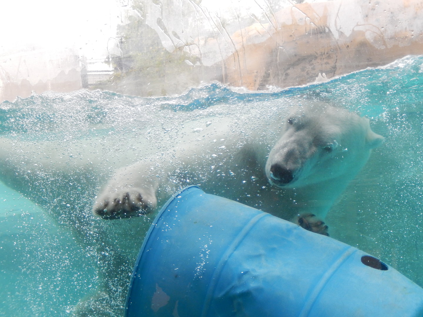 7/1/2023 - Splashin' Summer Fun