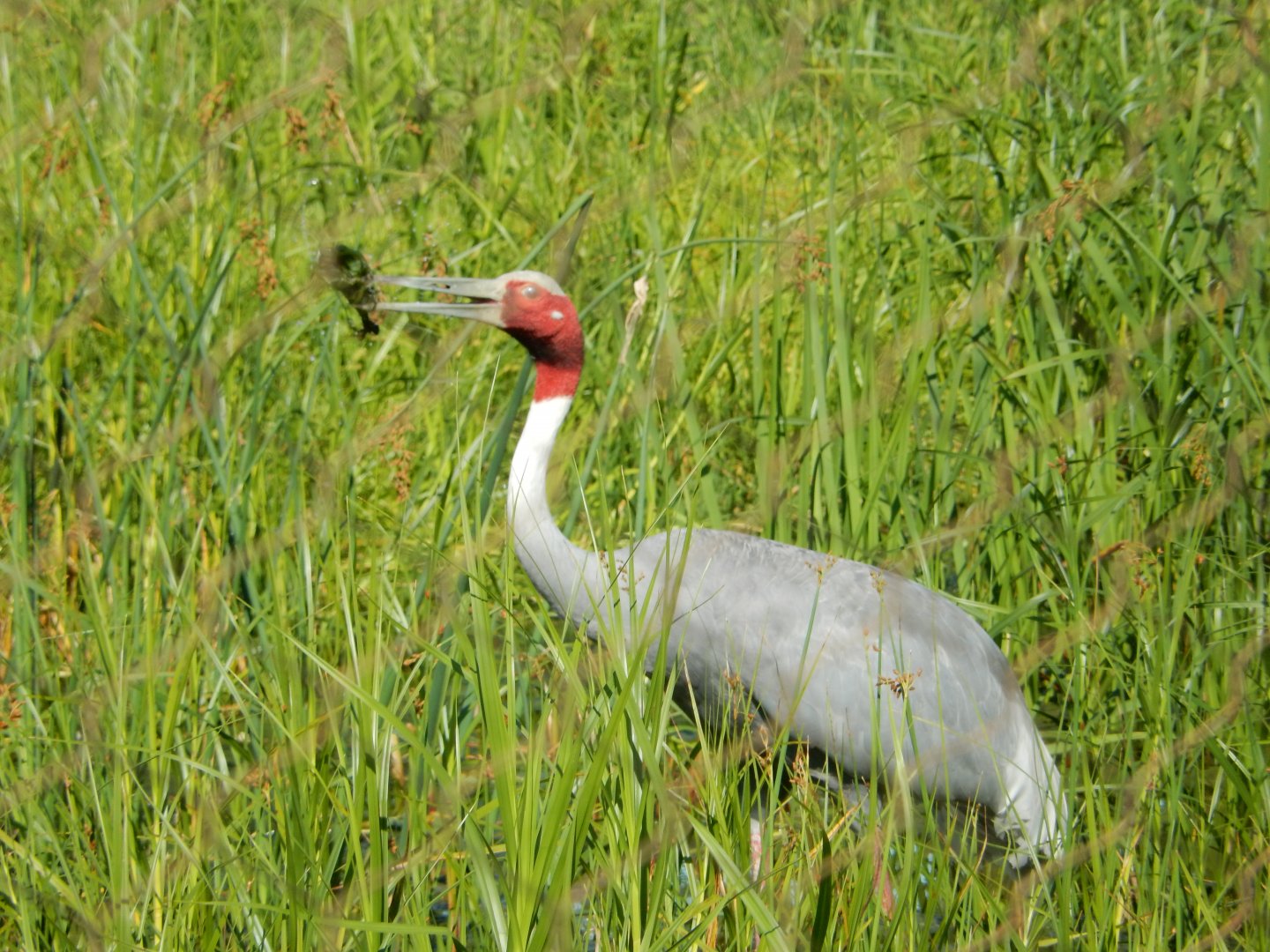7/12/2022 - A Mossy Catch