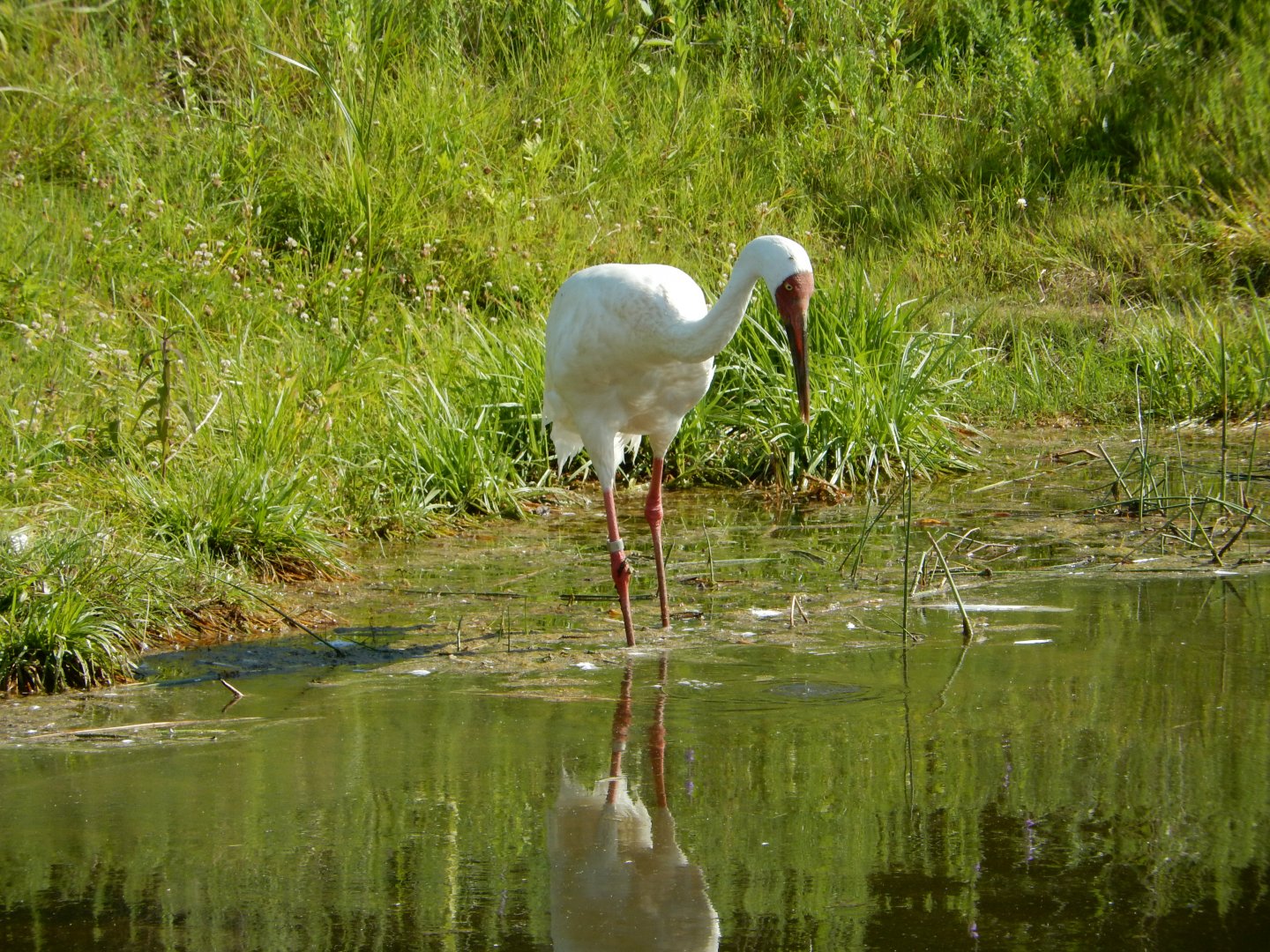 7/12/2022 - Gone Fishing