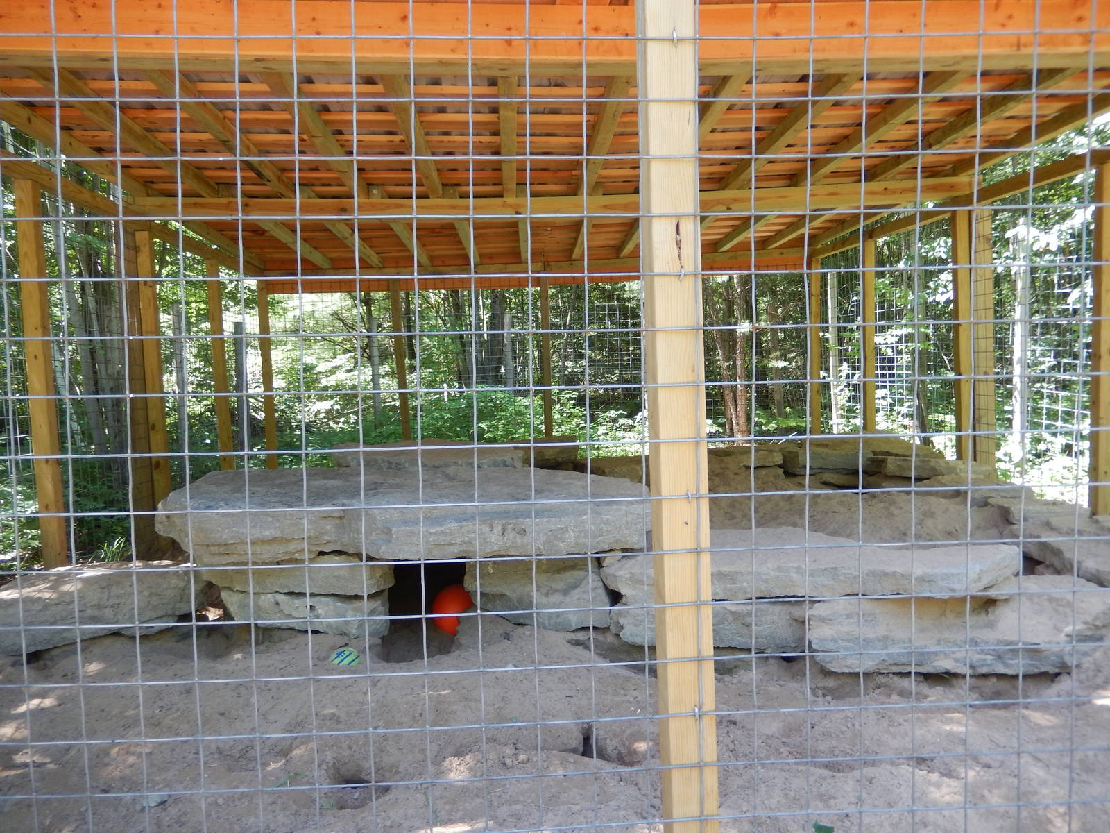 7/13/2016 - American Badger Cage