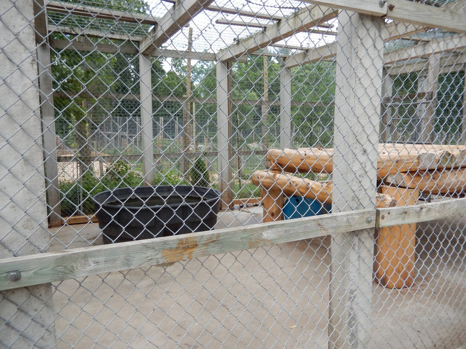 7/13/2016 - American Black Bear Cage