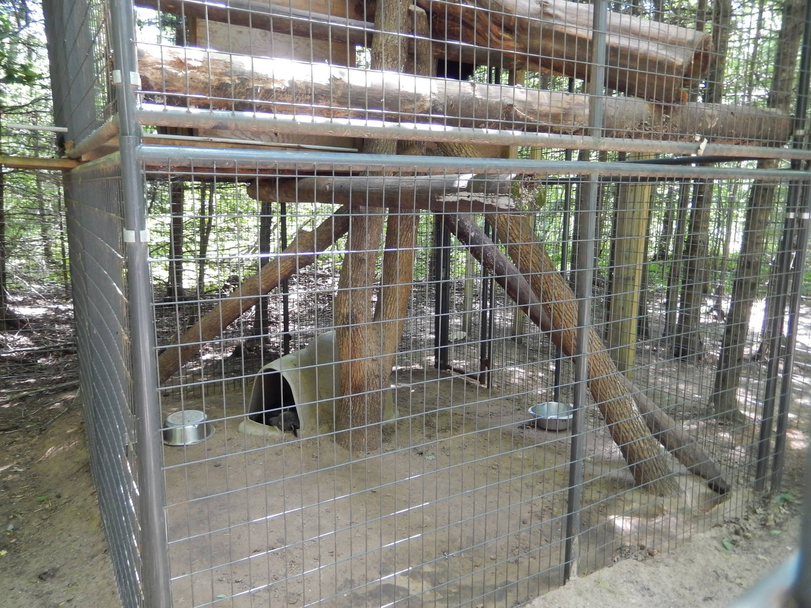 7/13/2016 - Binturong Cage (Lower Half)