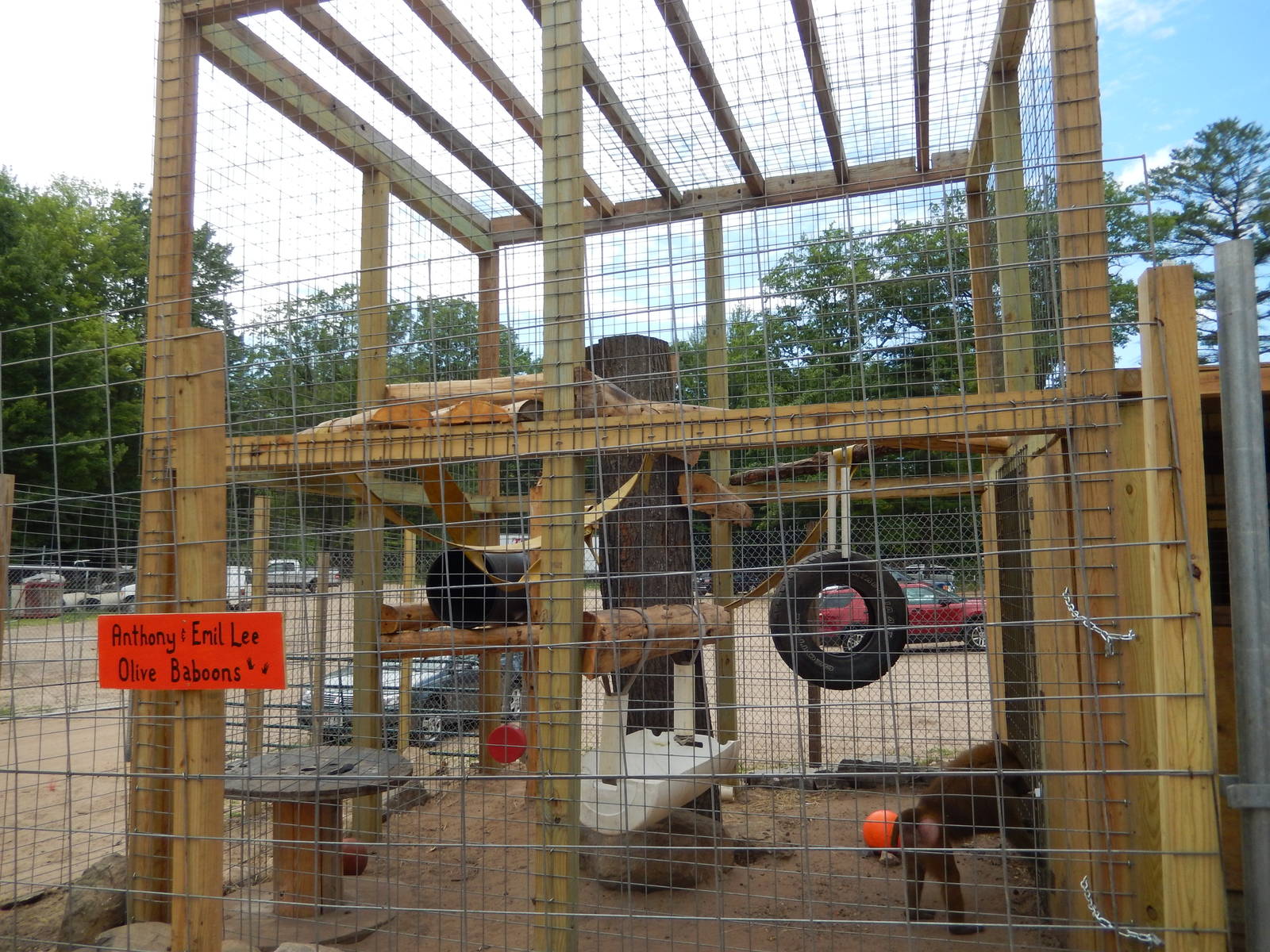 7/13/2016 - Olive Baboon Cage #2