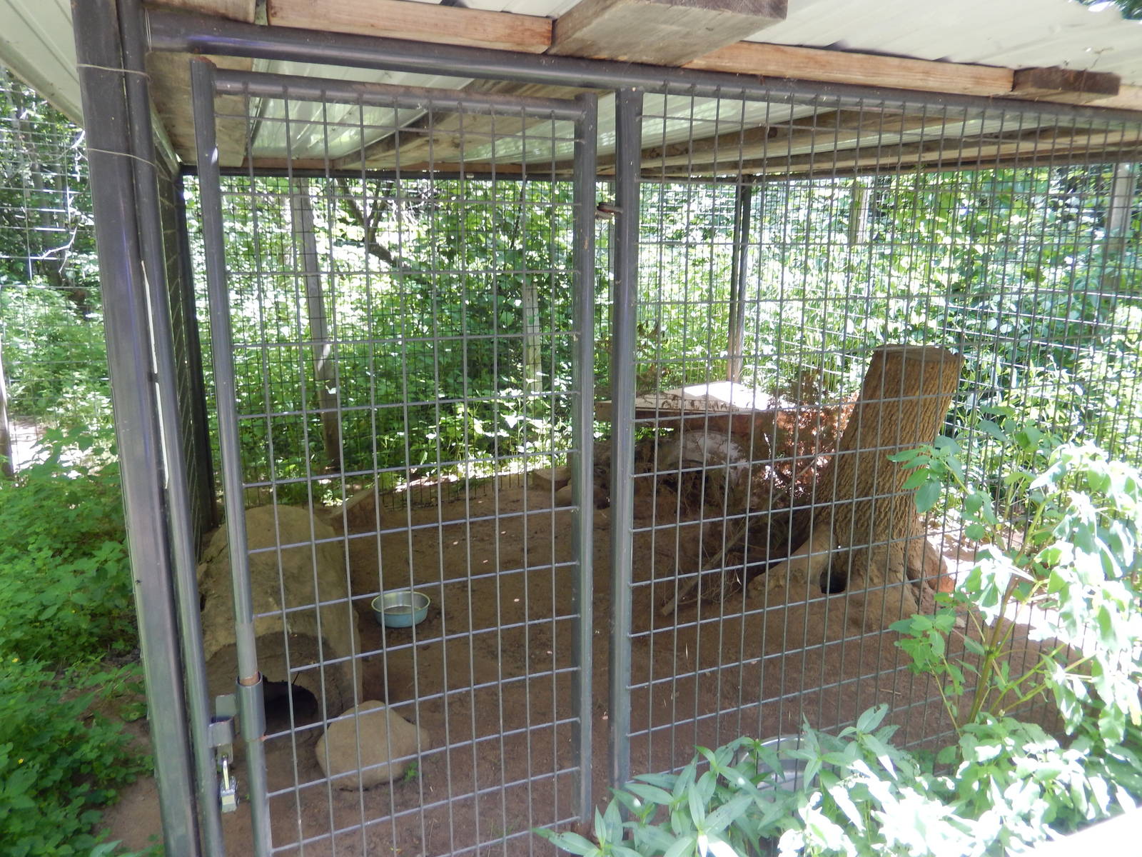 7/13/2016 - Skunk Cage