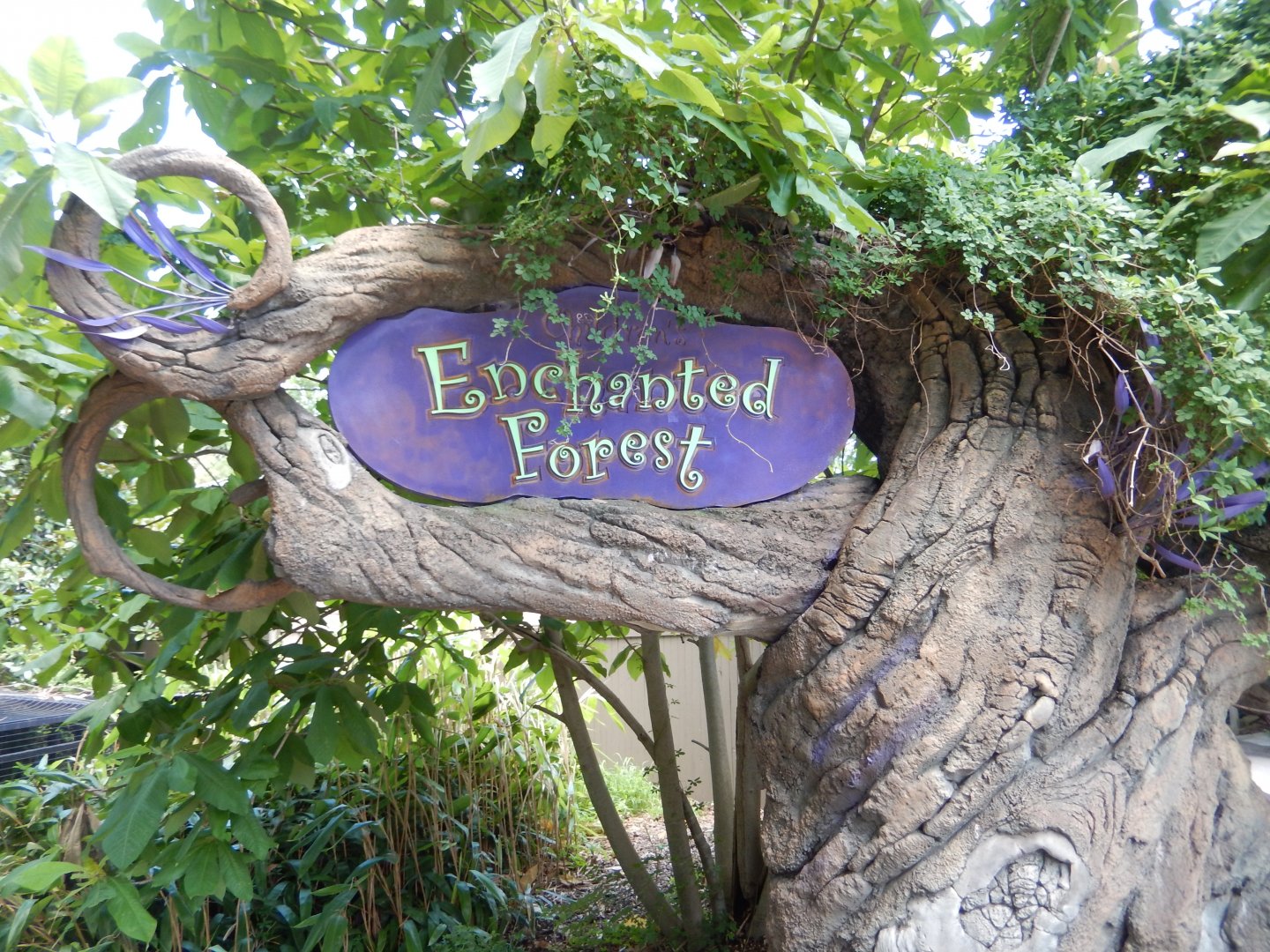 7/16/2025 - Children's Enchanted Forest Entrance