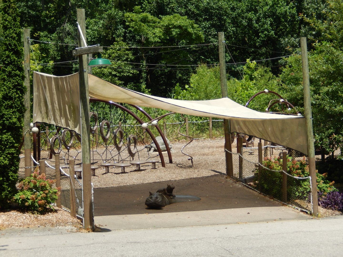 7/16/2025 - Donna's Playground