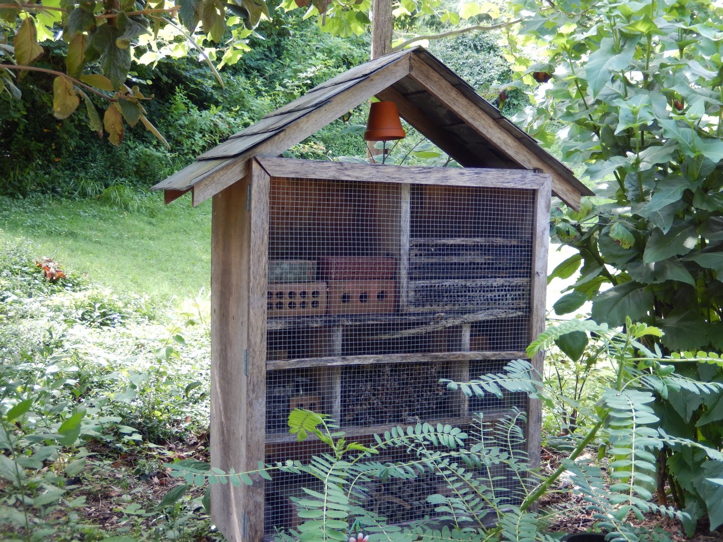 7/16/2025 - Insect Hotel