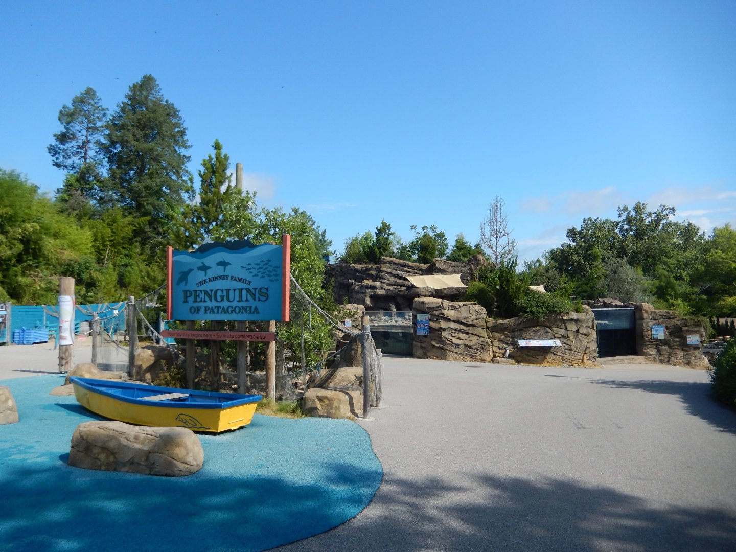 7/16/2025 - Penguins of Patagonia