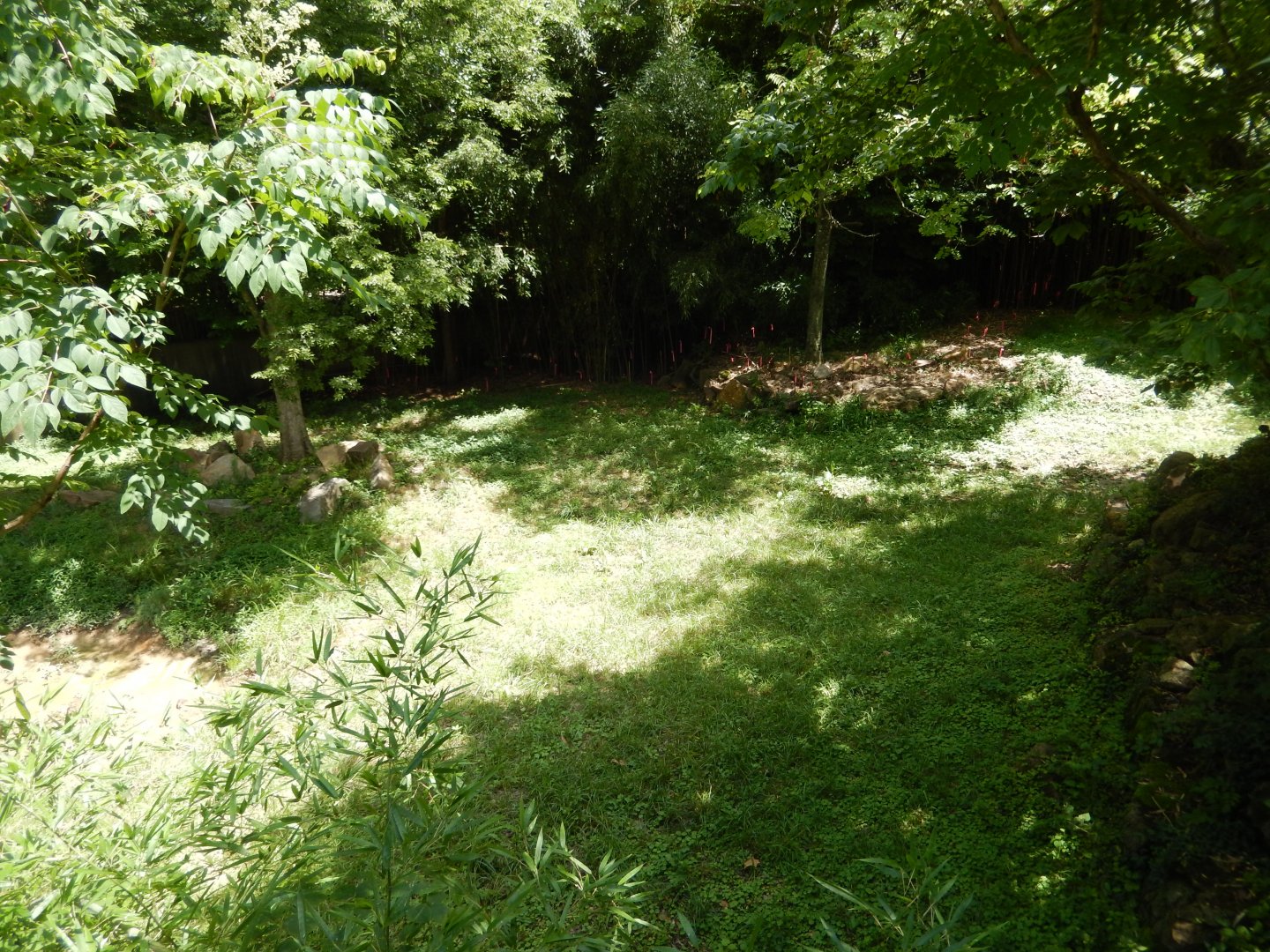 7/16/2025 - Rhino Reserve