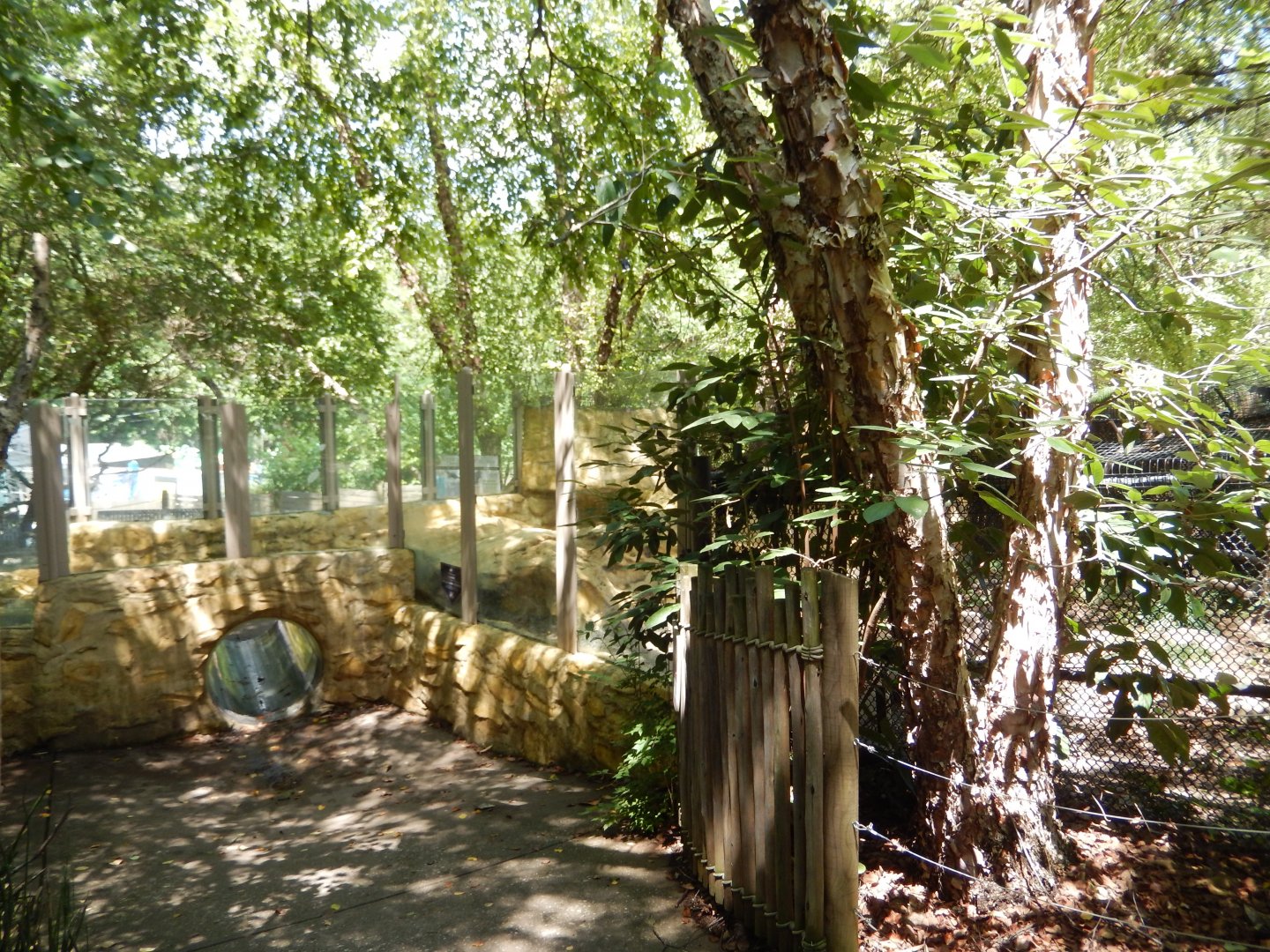 7/16/2025 - River Otter Habitat