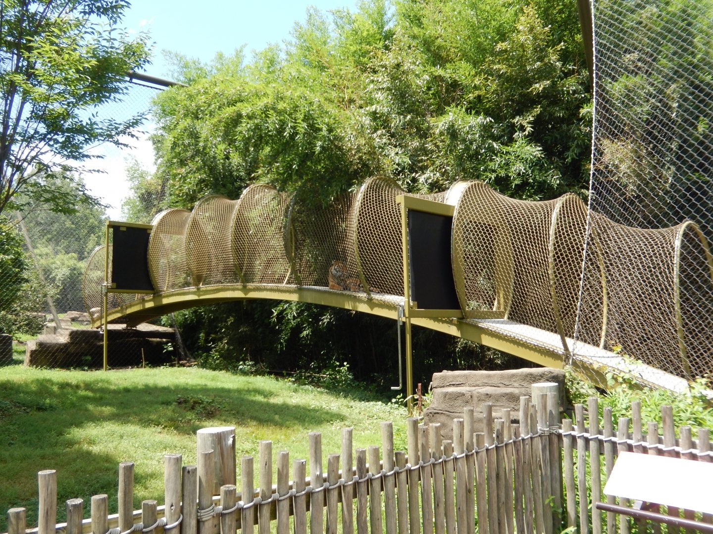 7/16/2025 - Tiger Bridge