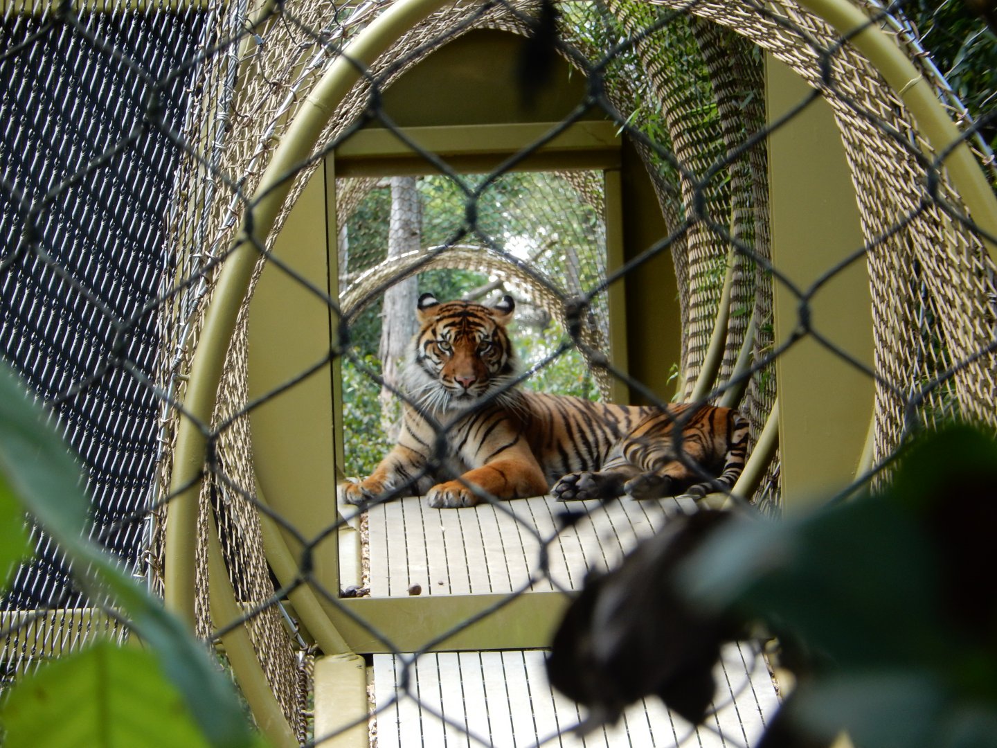 7/16/2025 - Tunnel Vision