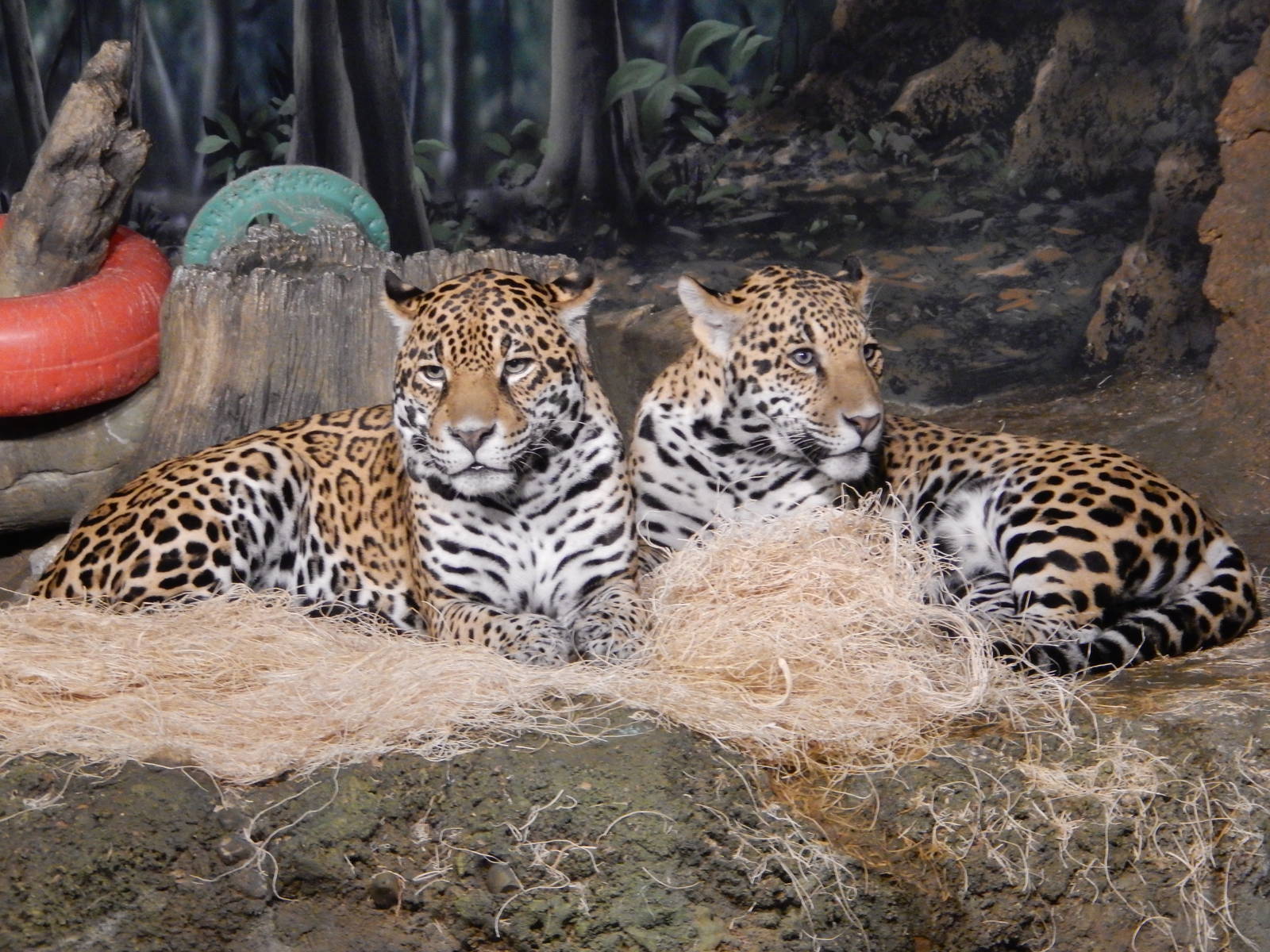 7/18/2015 - Mother and Son