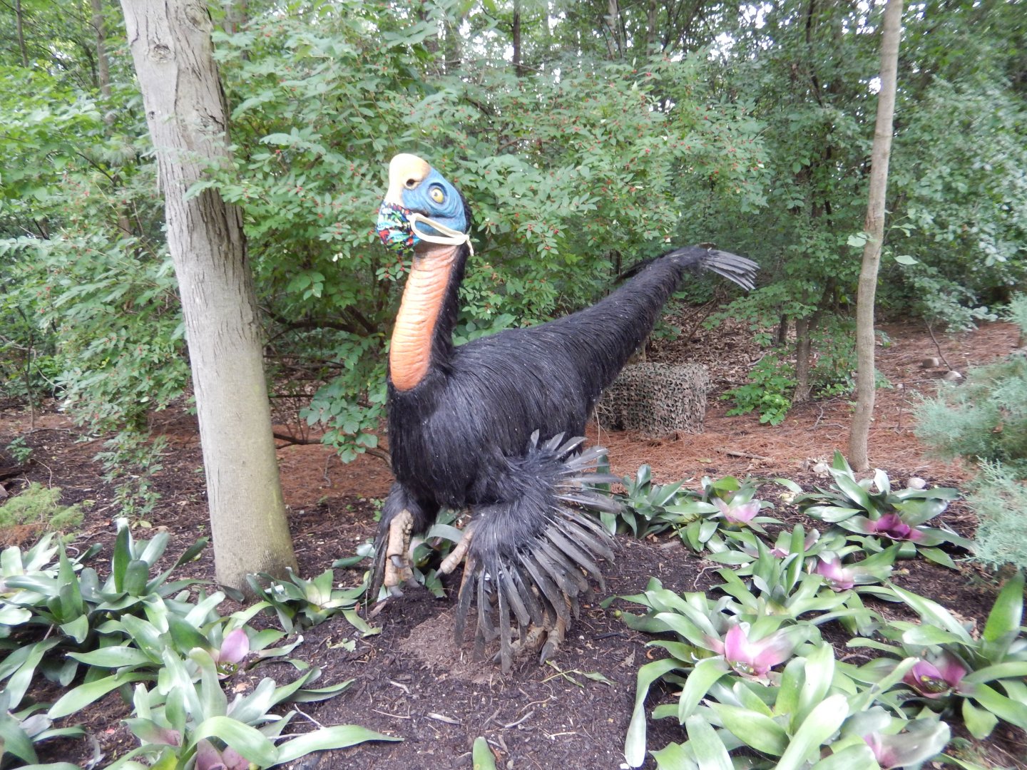 7/19/2020 - Citapati Practicing Social Distancing