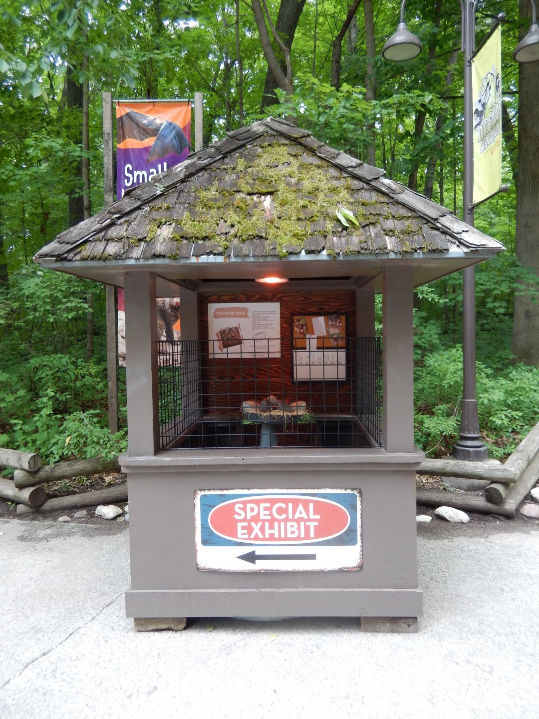 7/19/2020 - Dino Egg Display