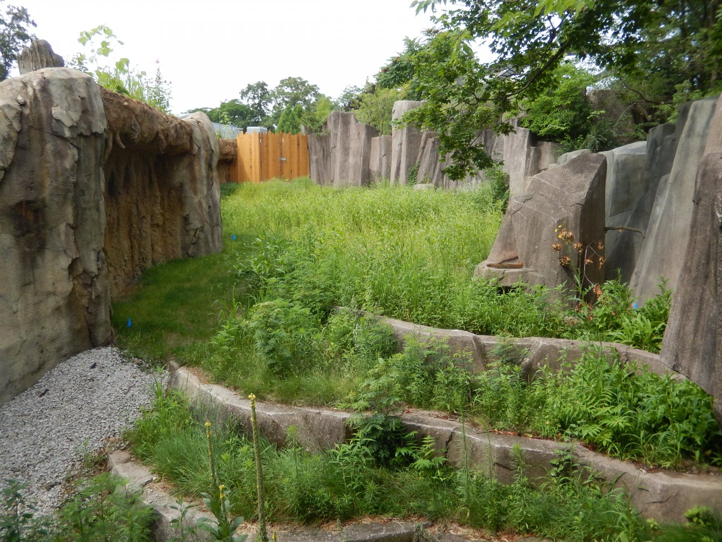 7/19/2020 - Hippo Garden