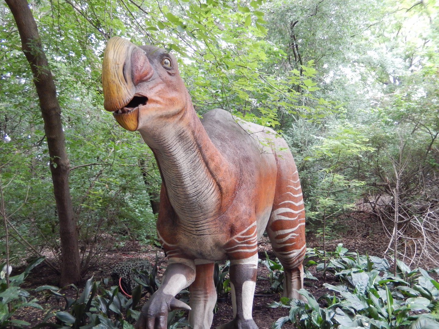 7/19/2020 - Muttaburrasaurus