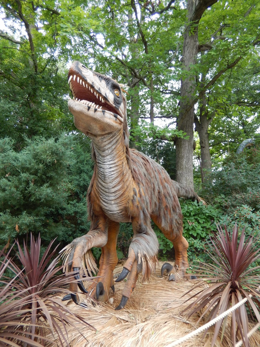 7/19/2020 - Utahraptor